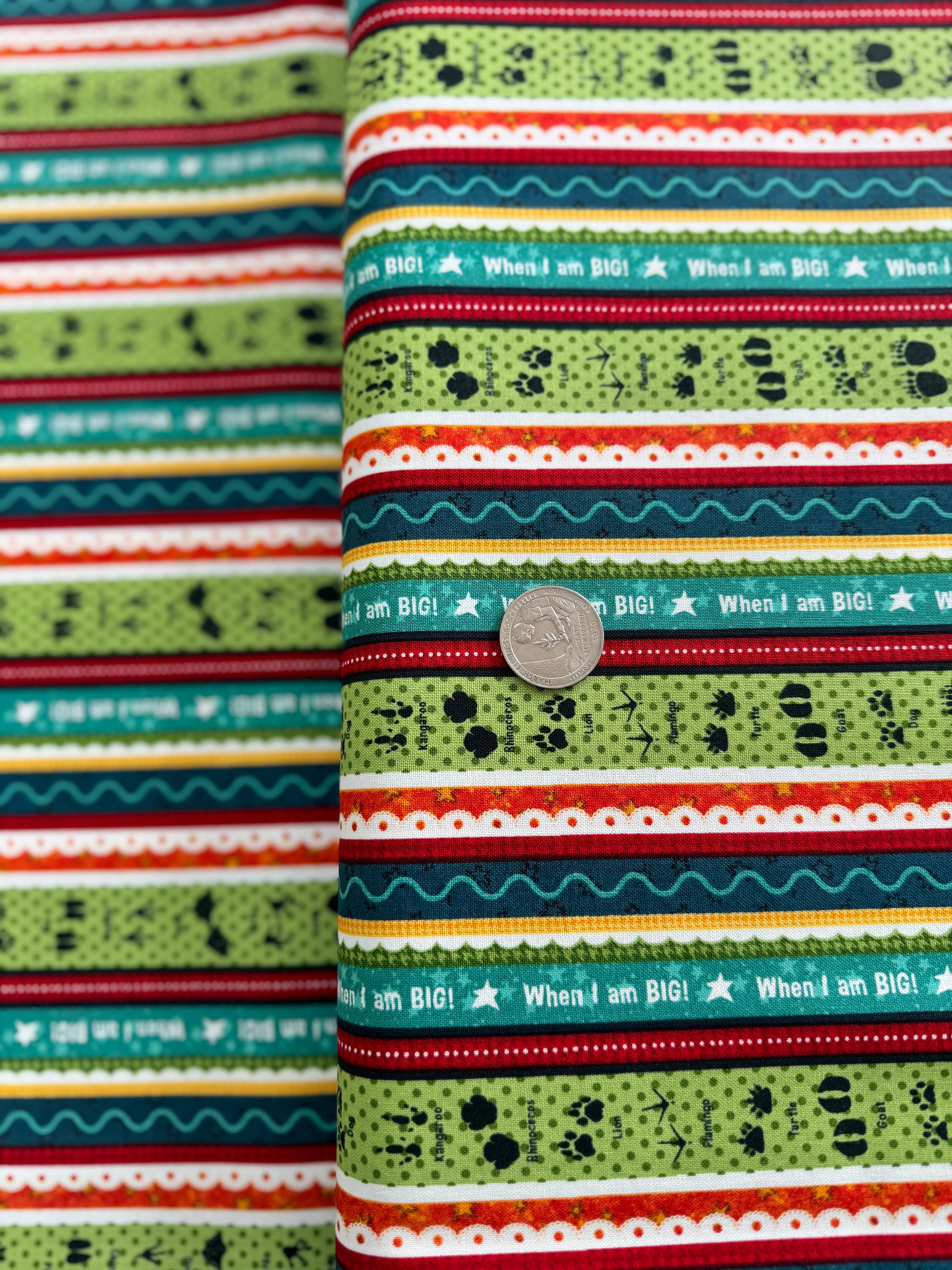 When I Am Big - Animal Tracks Novelty Stripe Yardage