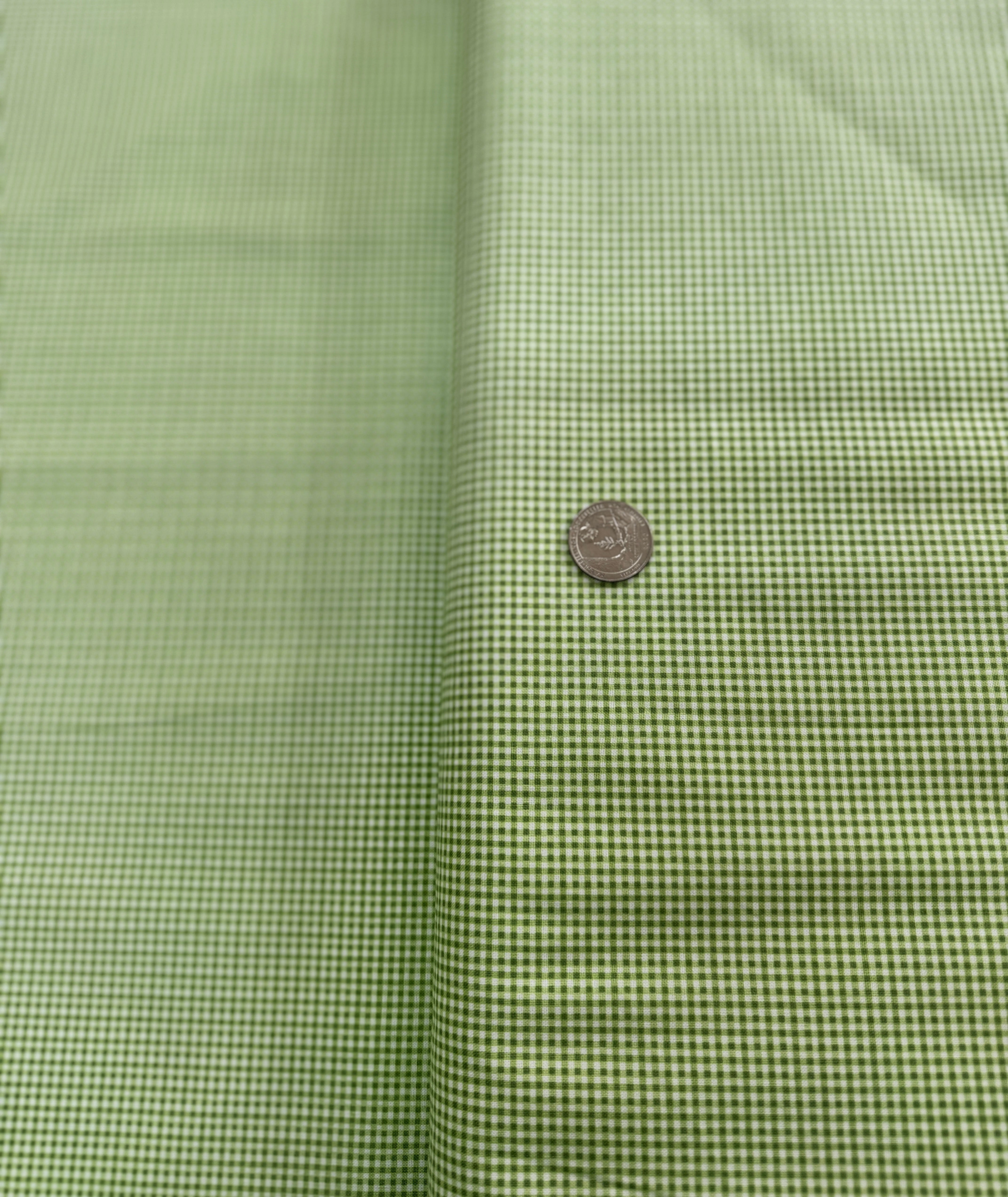 Bee Ginghams Melanie Basil Yardage