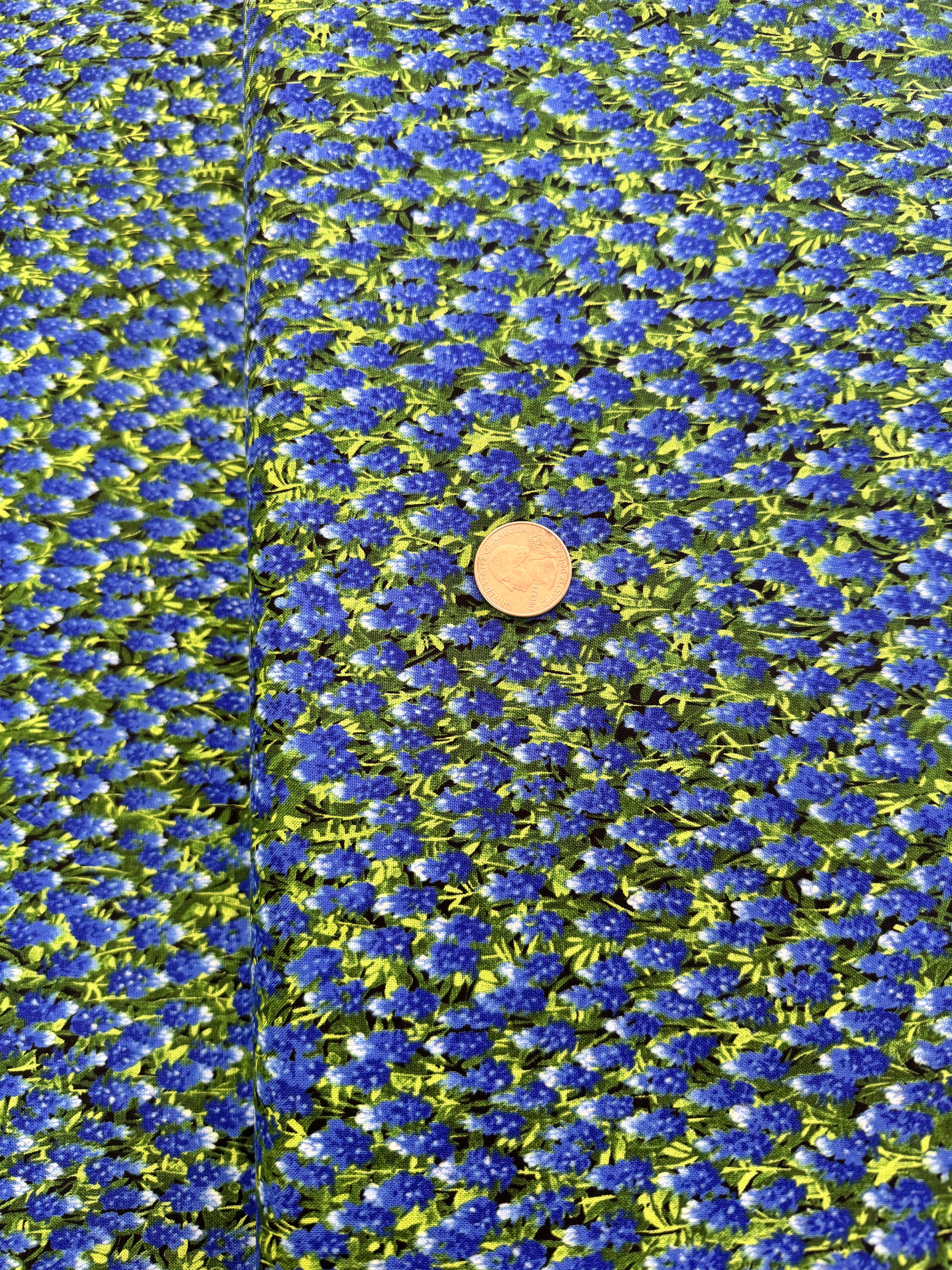 Wildflowers Favorites Best of Texas Bluebonnets Cotton Fabric by Sara Khammash for Moda Fabrics