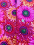 Kaffe Fassett Collective Stash - Van Gogh Red Yardage