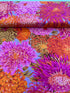 Kaffe Fassett Collective Classics - Japanese Chrysanthemum Pink Yardage
