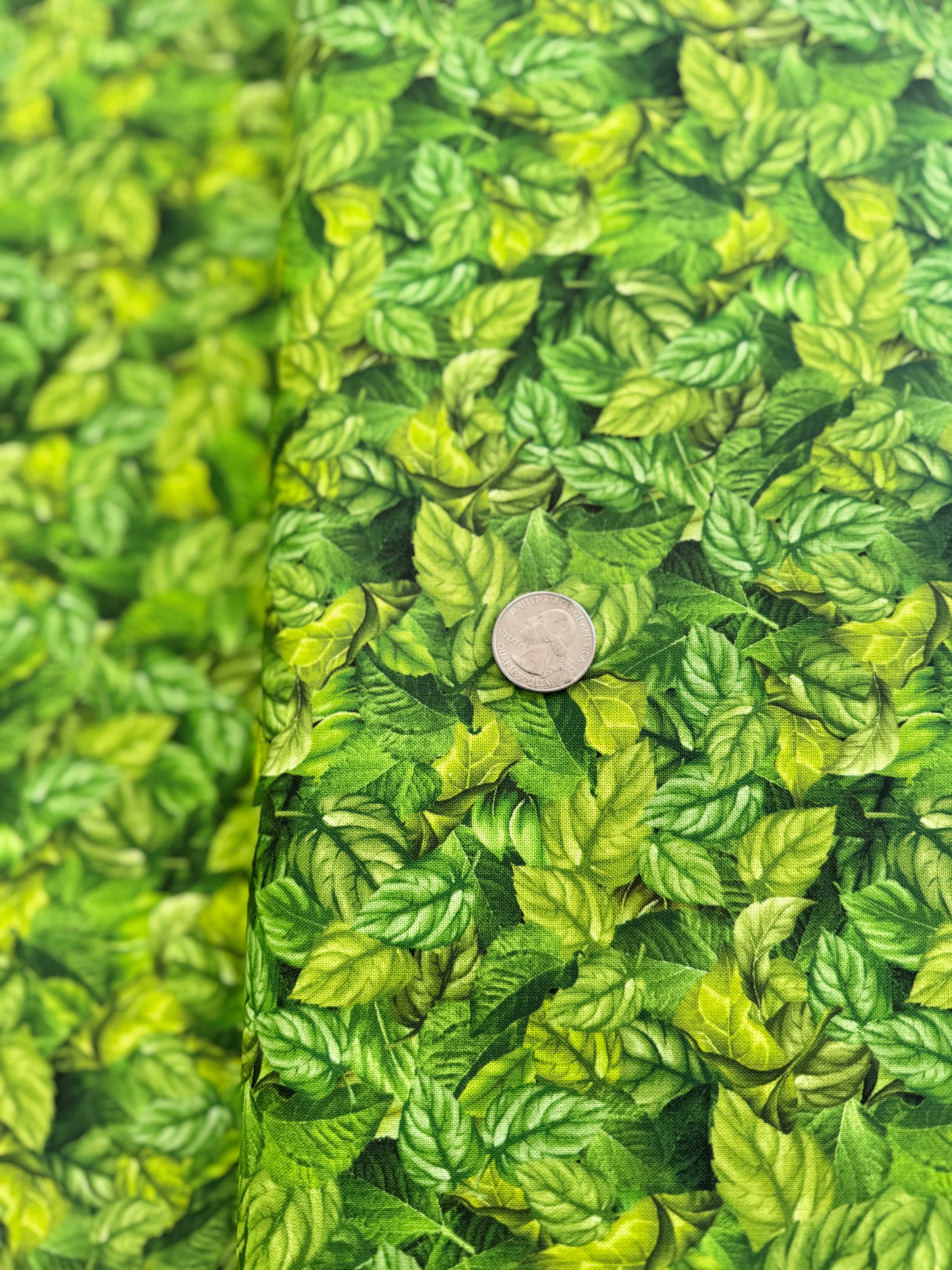 Sunflower Farm - Packed Sunflower Leaves Yardage