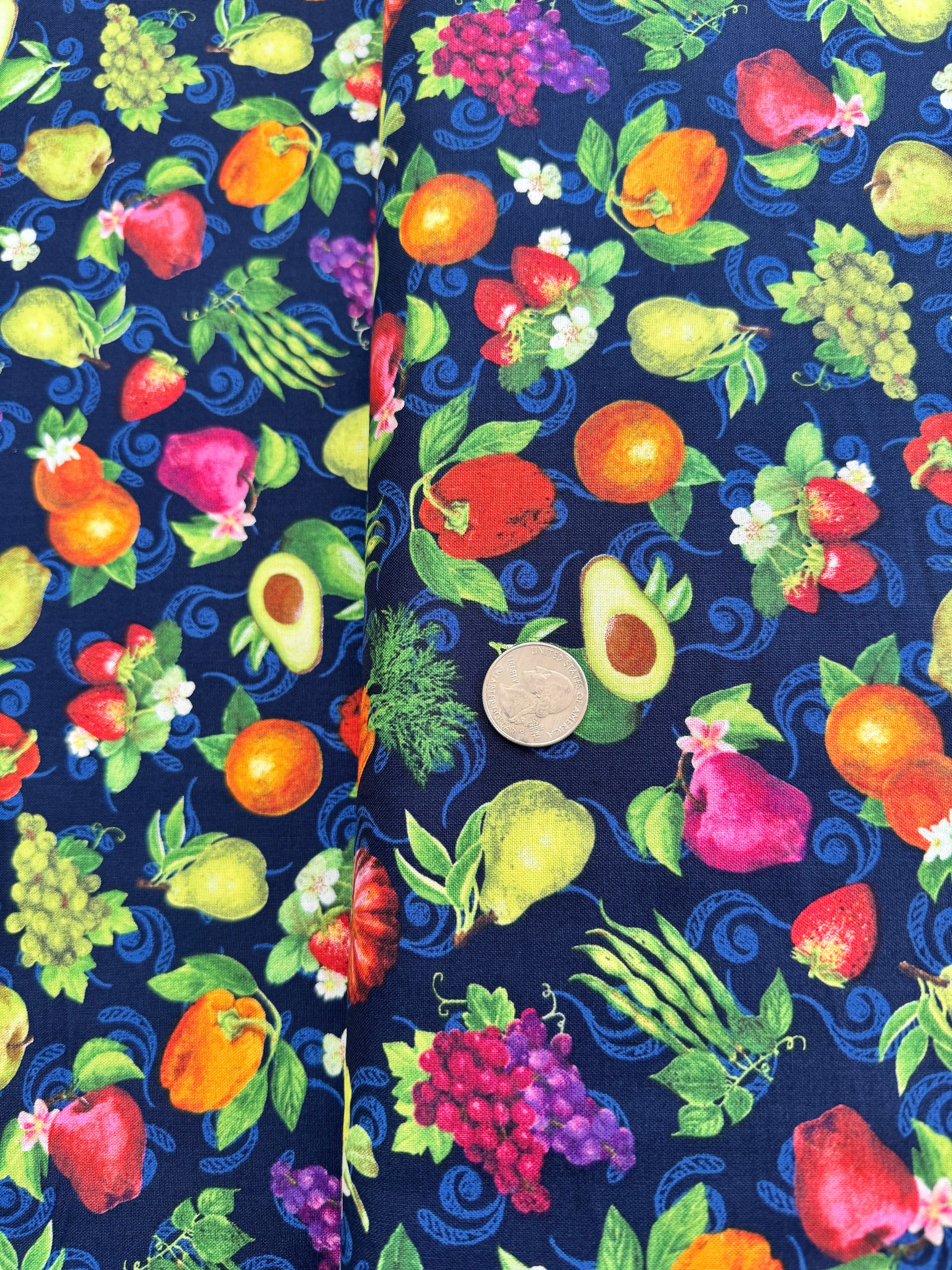 Fresh From the Grove - Fruit & Veggies Toss Navy Yardage