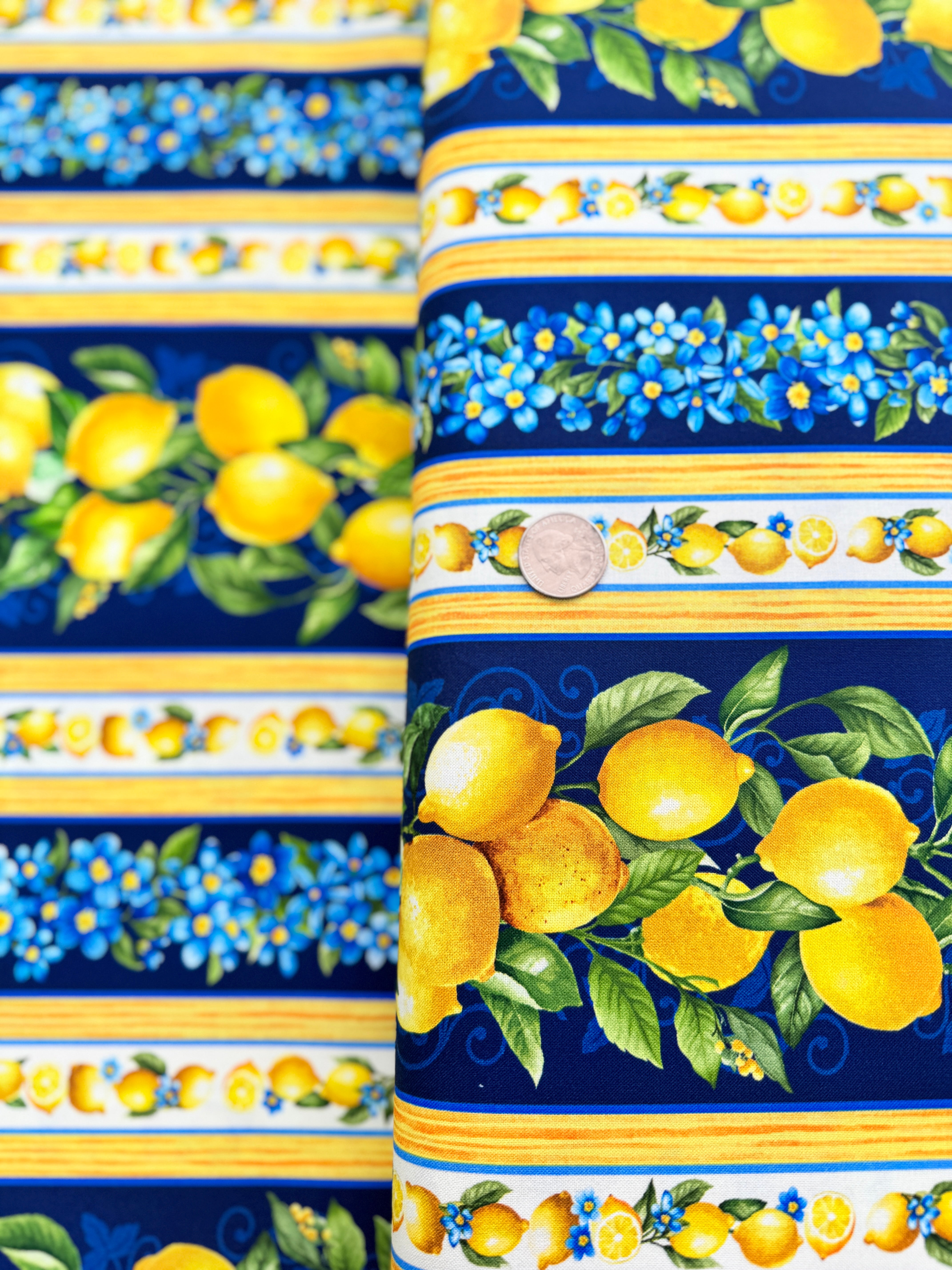 Limoncello - Lemon 11" Stripes Yardage