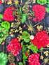 Scarlet Beauty - Geranium Dragonfly Collage Yardage