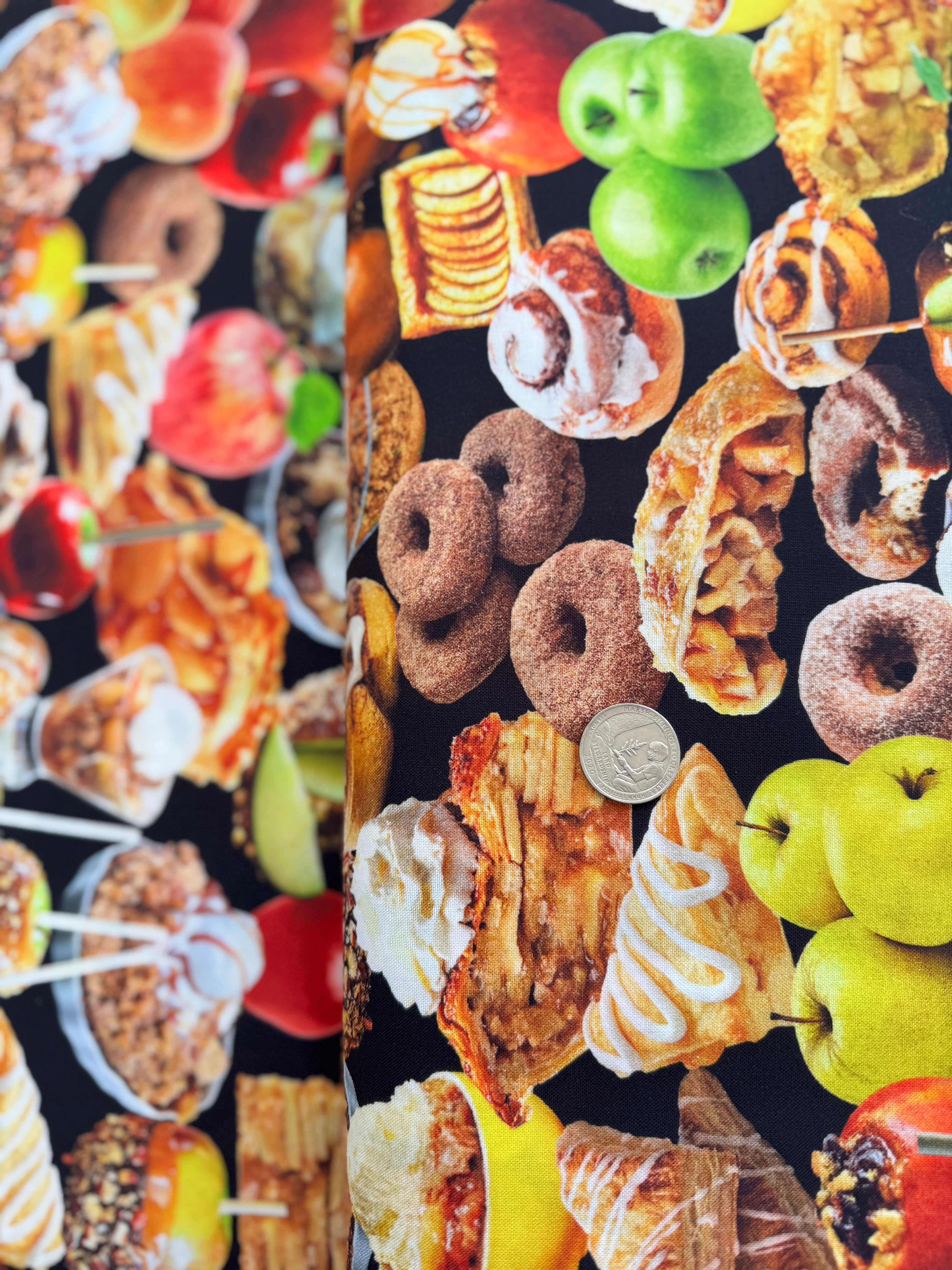 Cider House - Apple Harvest Desserts Black/Multi Yardage