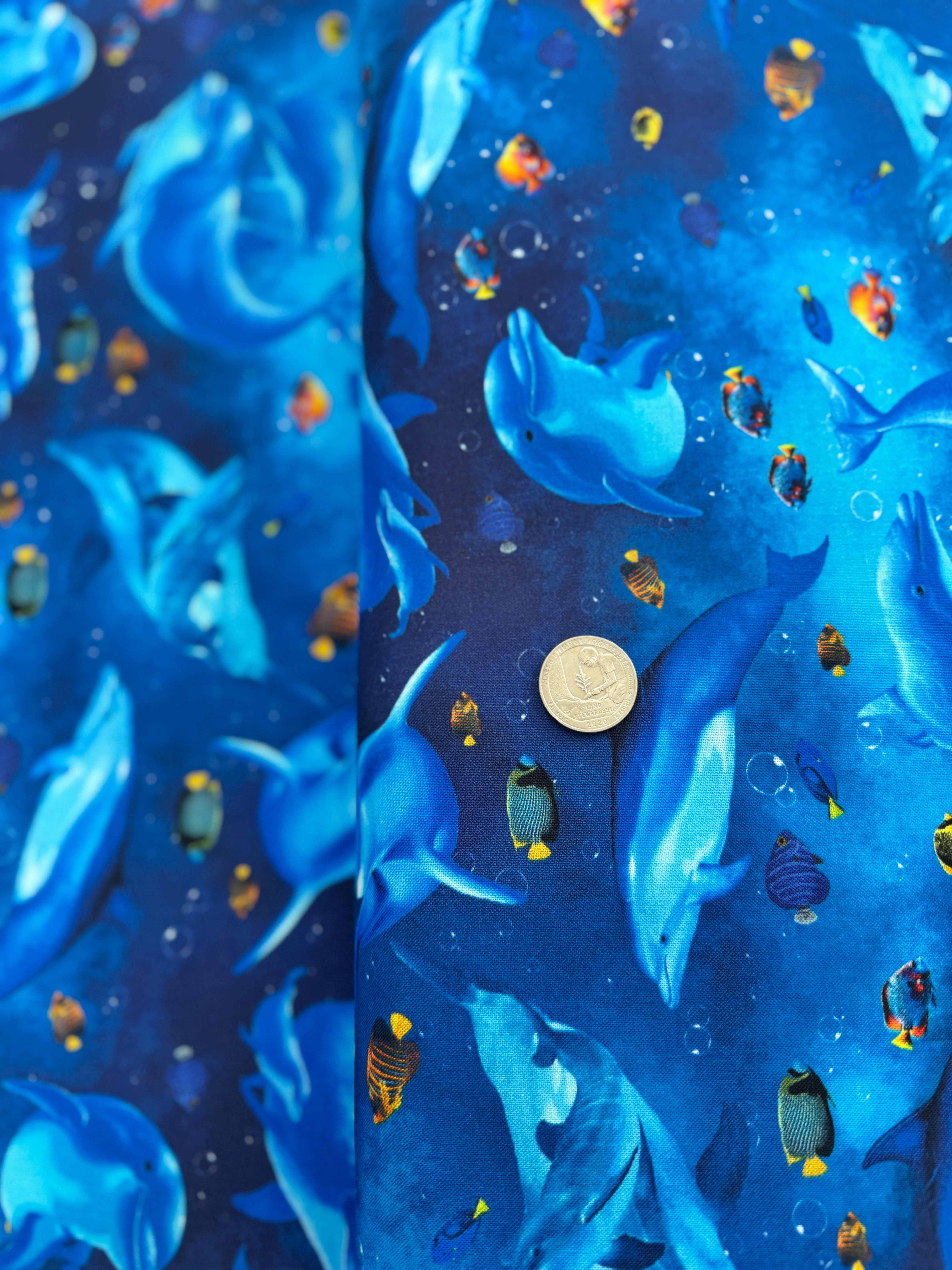 Ocean Life - Playful Dolphin And Fish Yardage