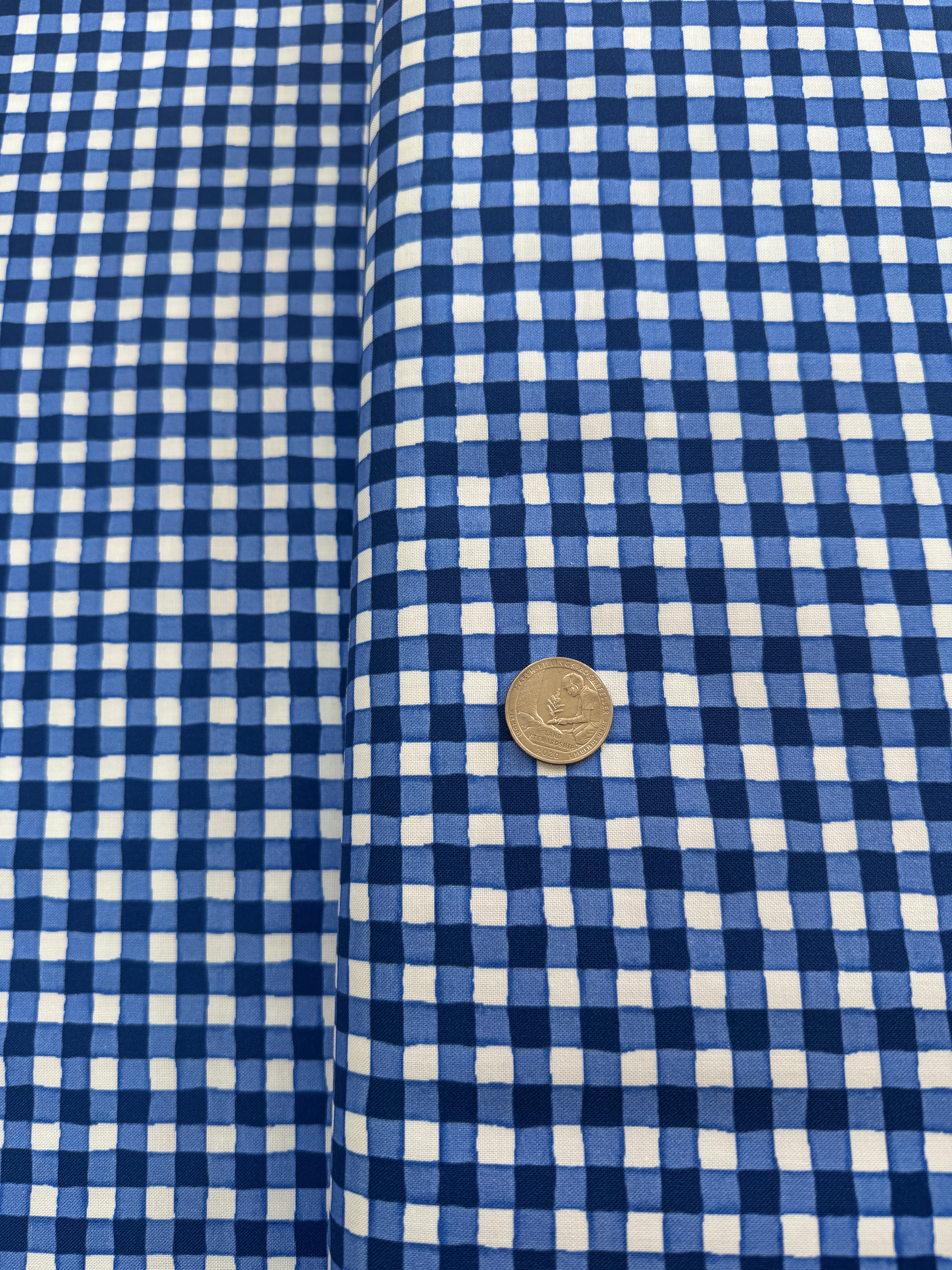 Limoncello - Gingham Check Blue Yardage