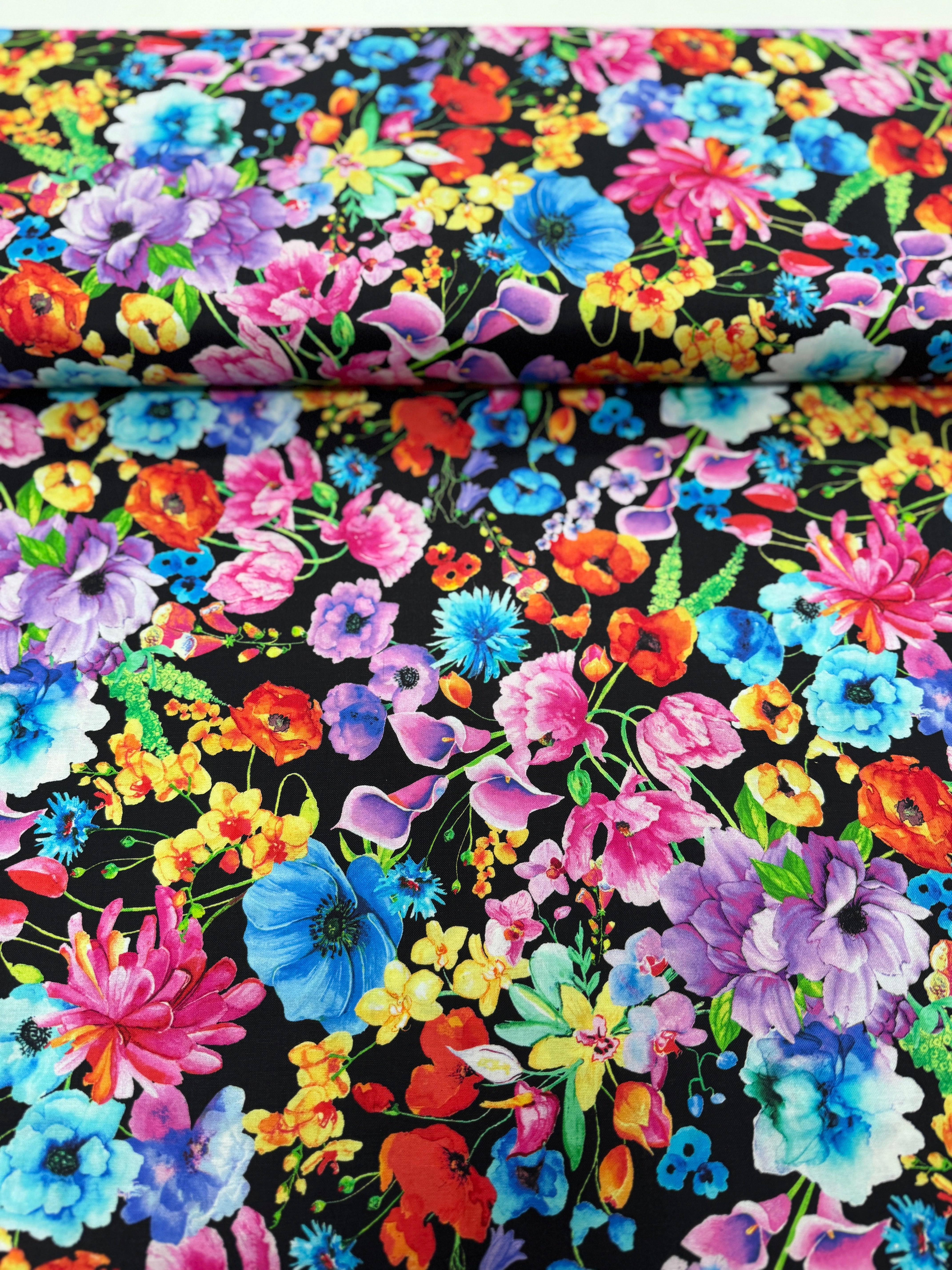 Day Dreaming - Rainbow Dream Florals on Black Yardage