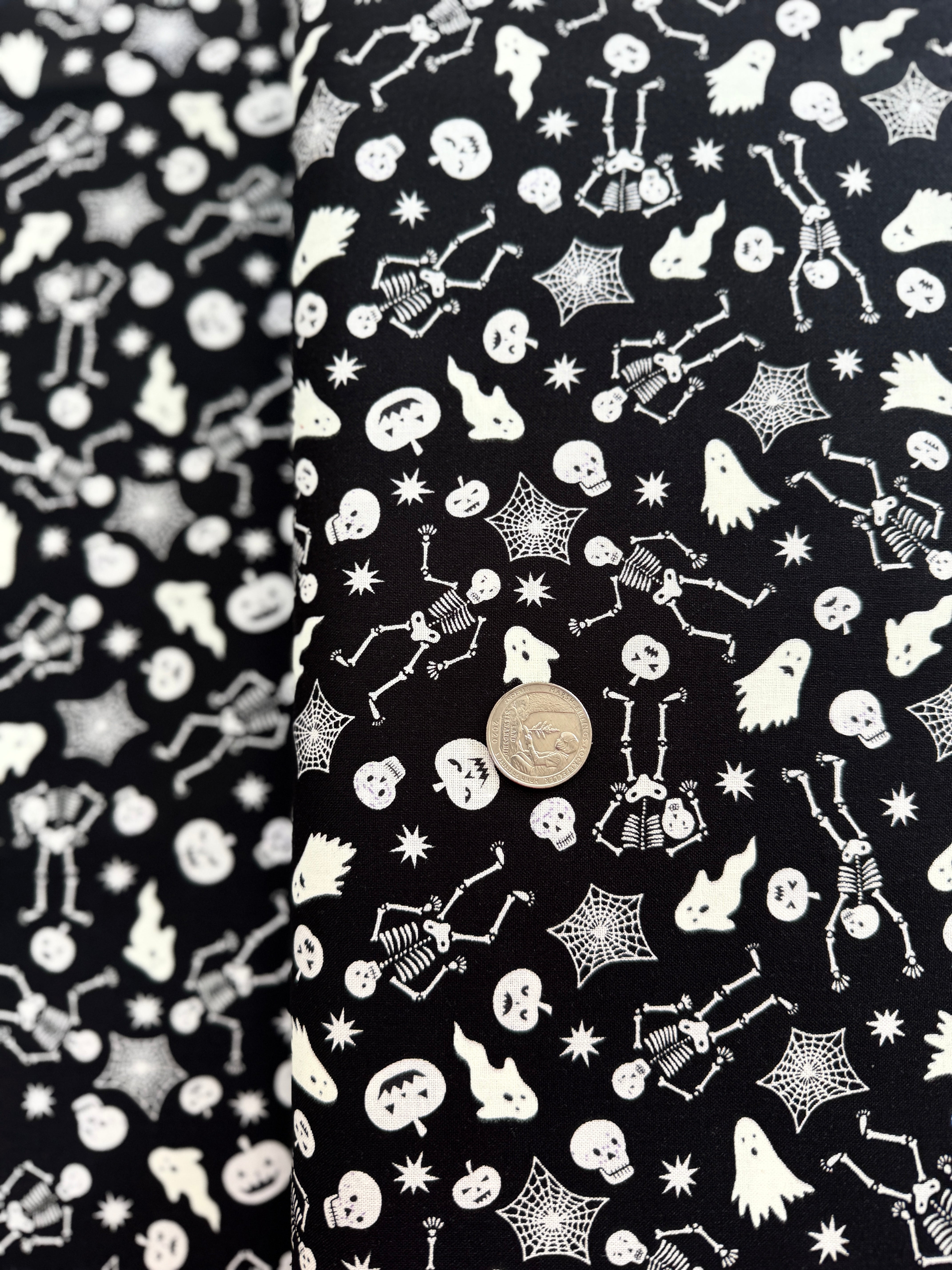 Witchy Woods - Spooky Friends on Black Glow in the Dark Yardage