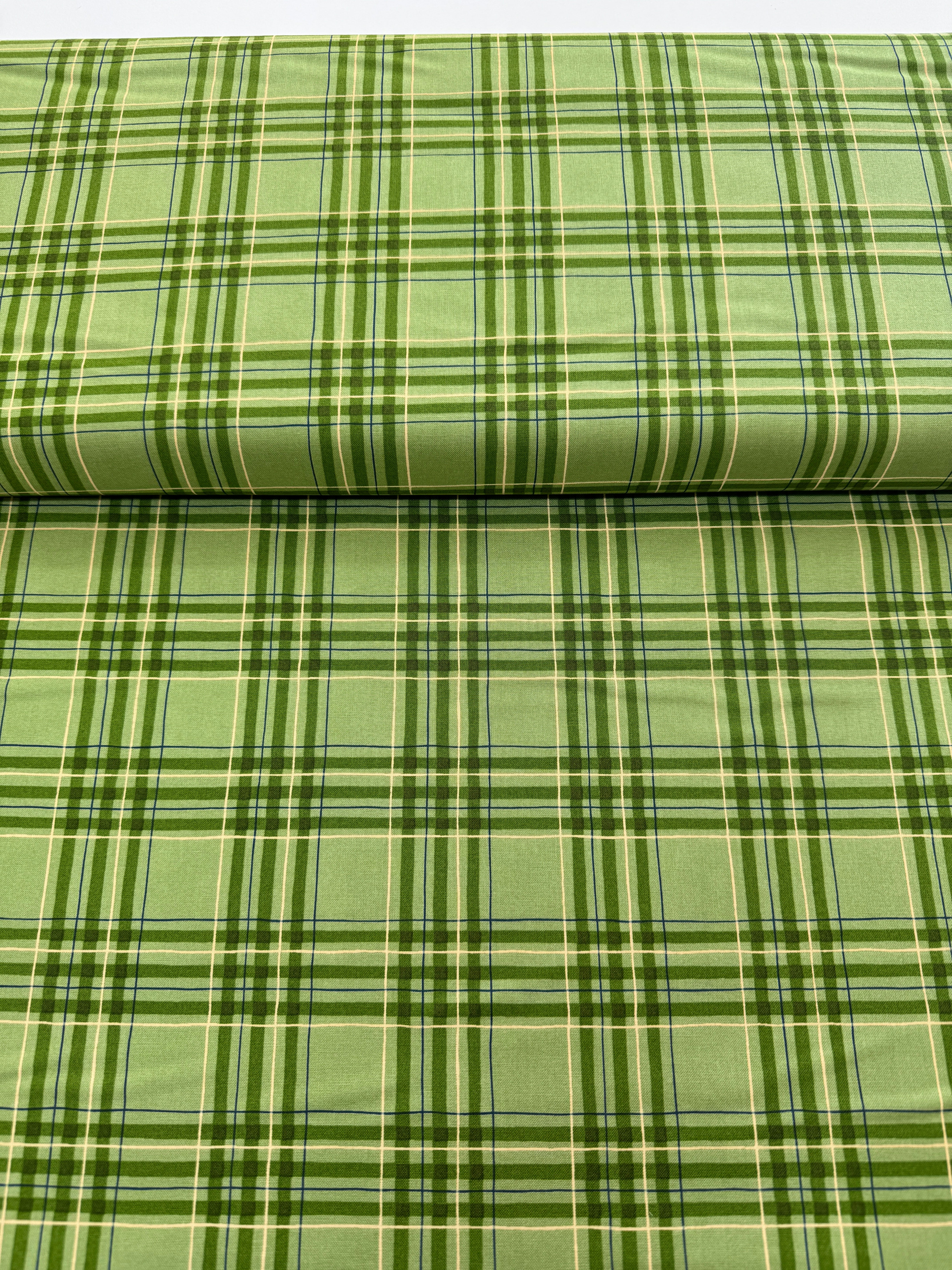 On Lake Time - Lakehouse Plaid Spring Yardage