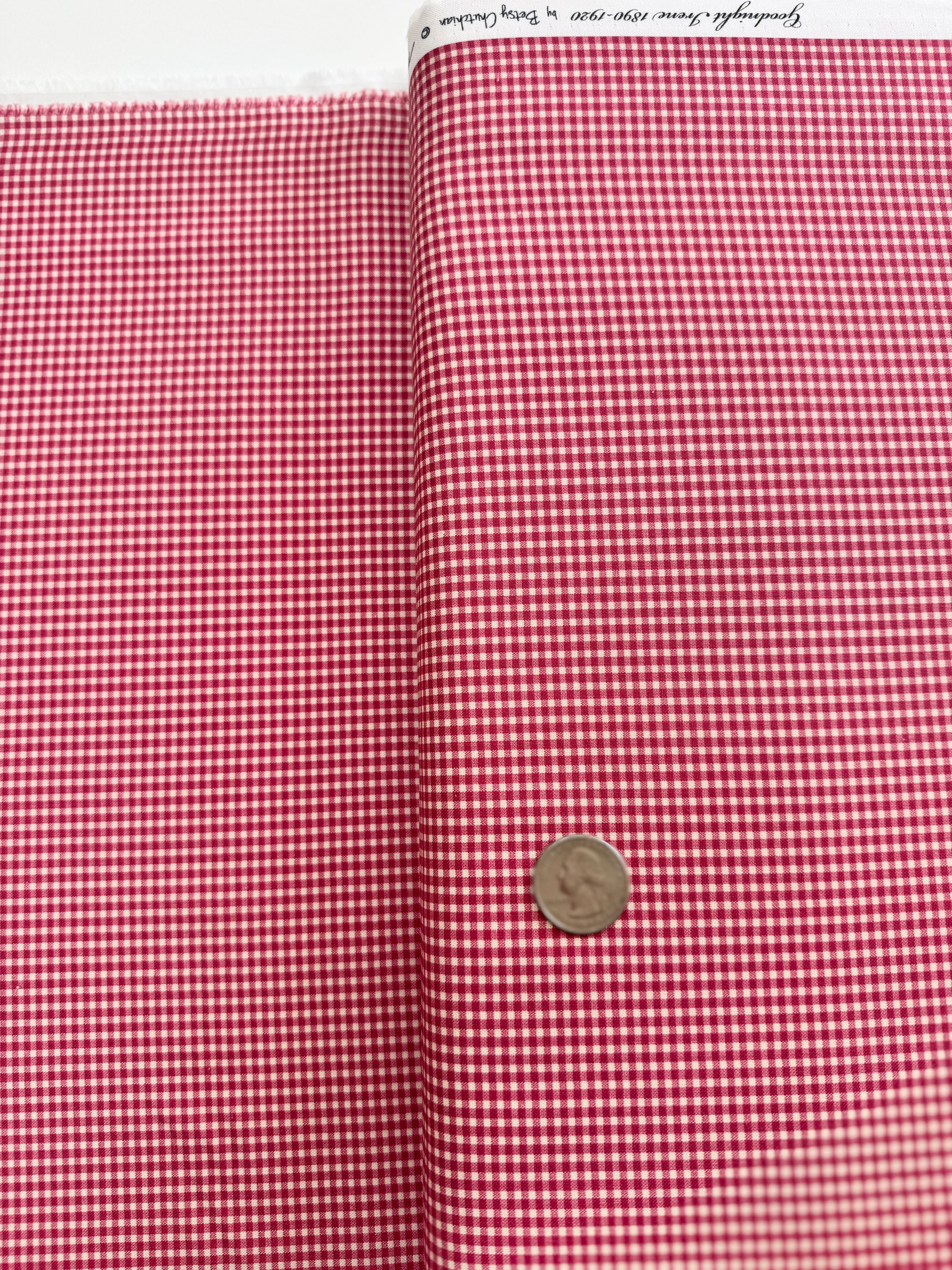 Goodnight Irene - Gingham Carnation Yardage