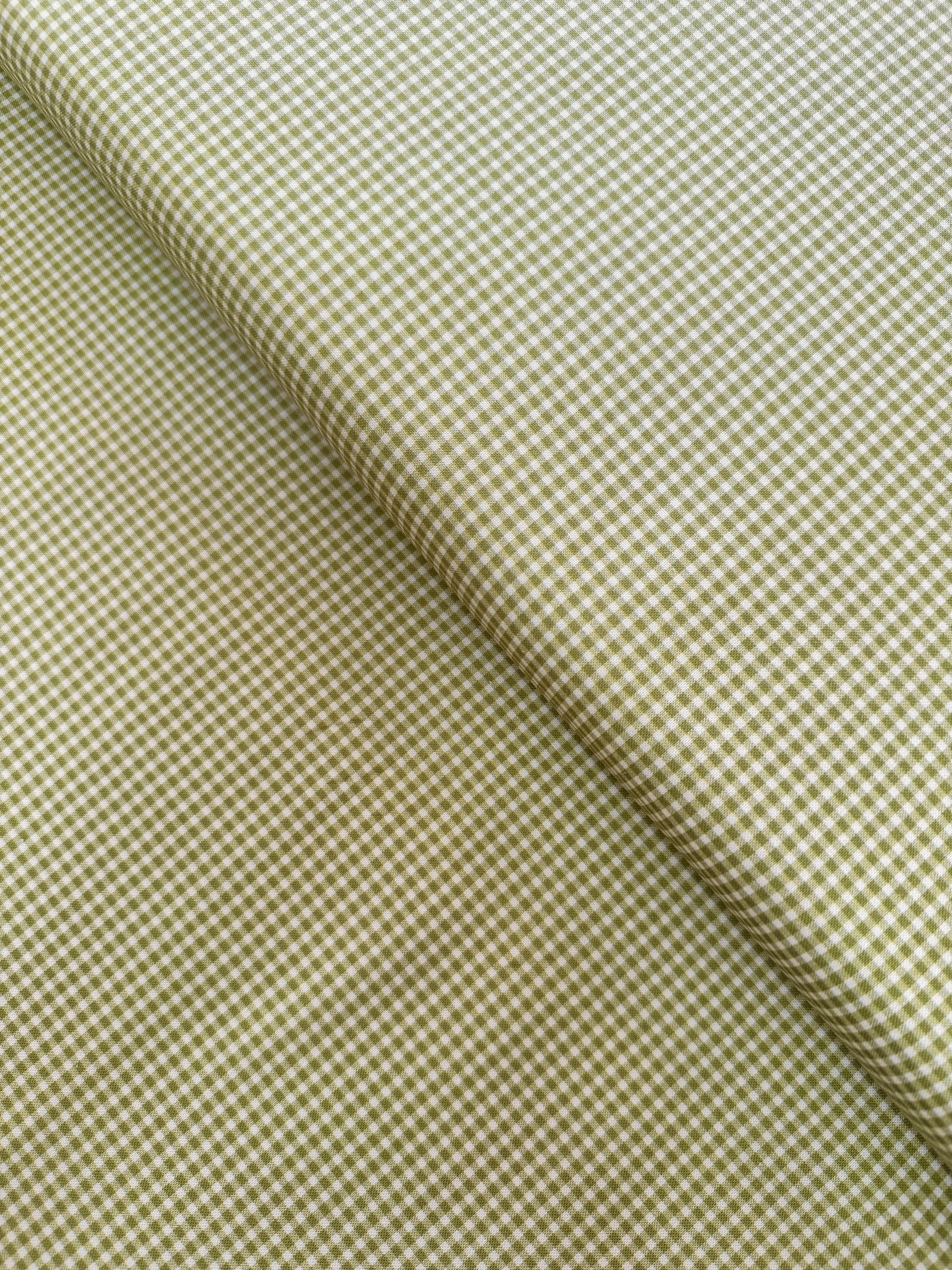 Goodnight Irene - Gingham Sage - Remnant