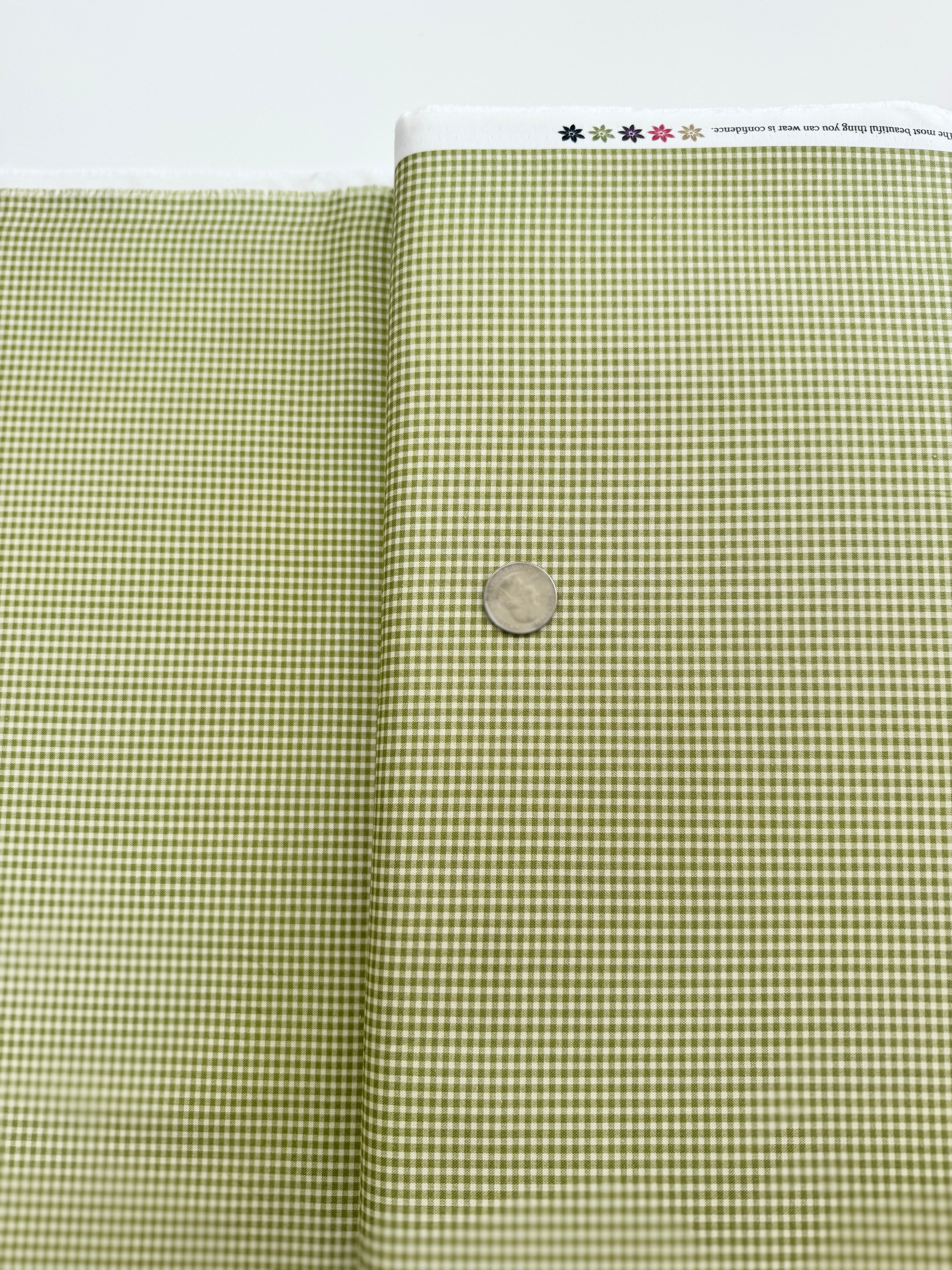 Goodnight Irene - Gingham Sage - Remnant