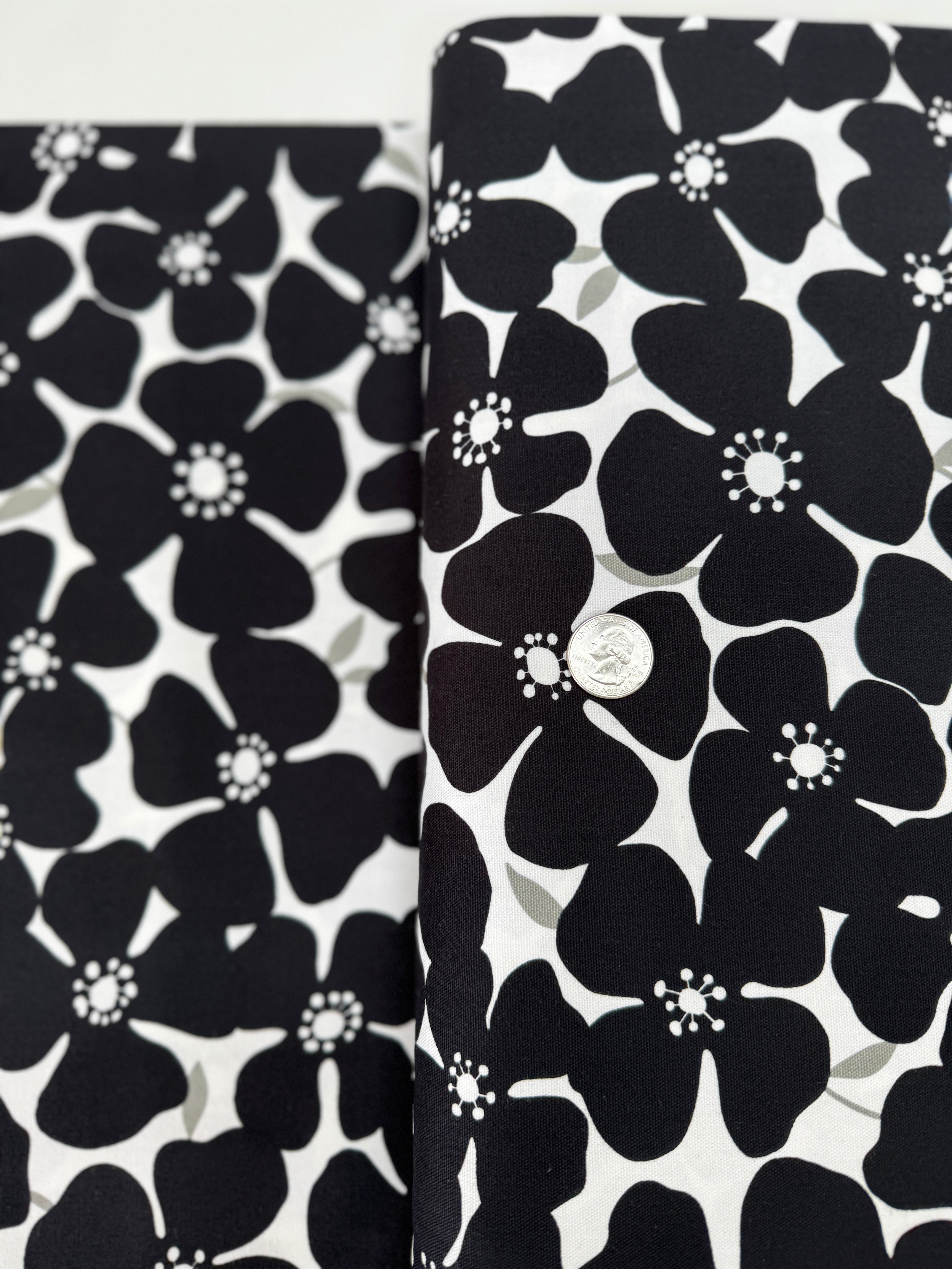 Sevenberry Canvas Prints - Florals Black/White fabric by Robert Kaufman, 100% cotton canvas with black floral outlines on white background.