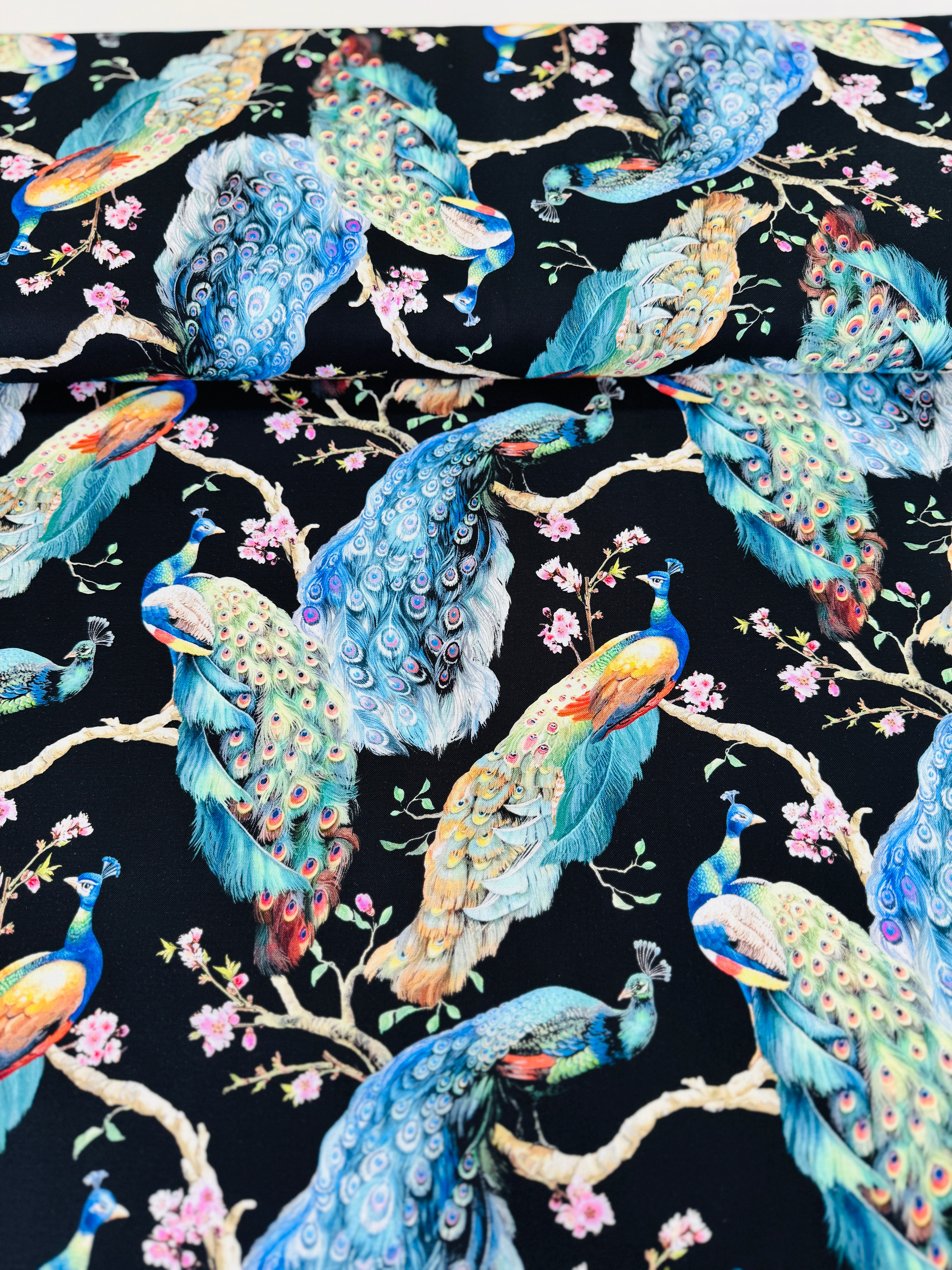 Flourish – Elegant Peacock on Branches on Black Fabric by Timeless Treasures – bold peacock print on black cotton.