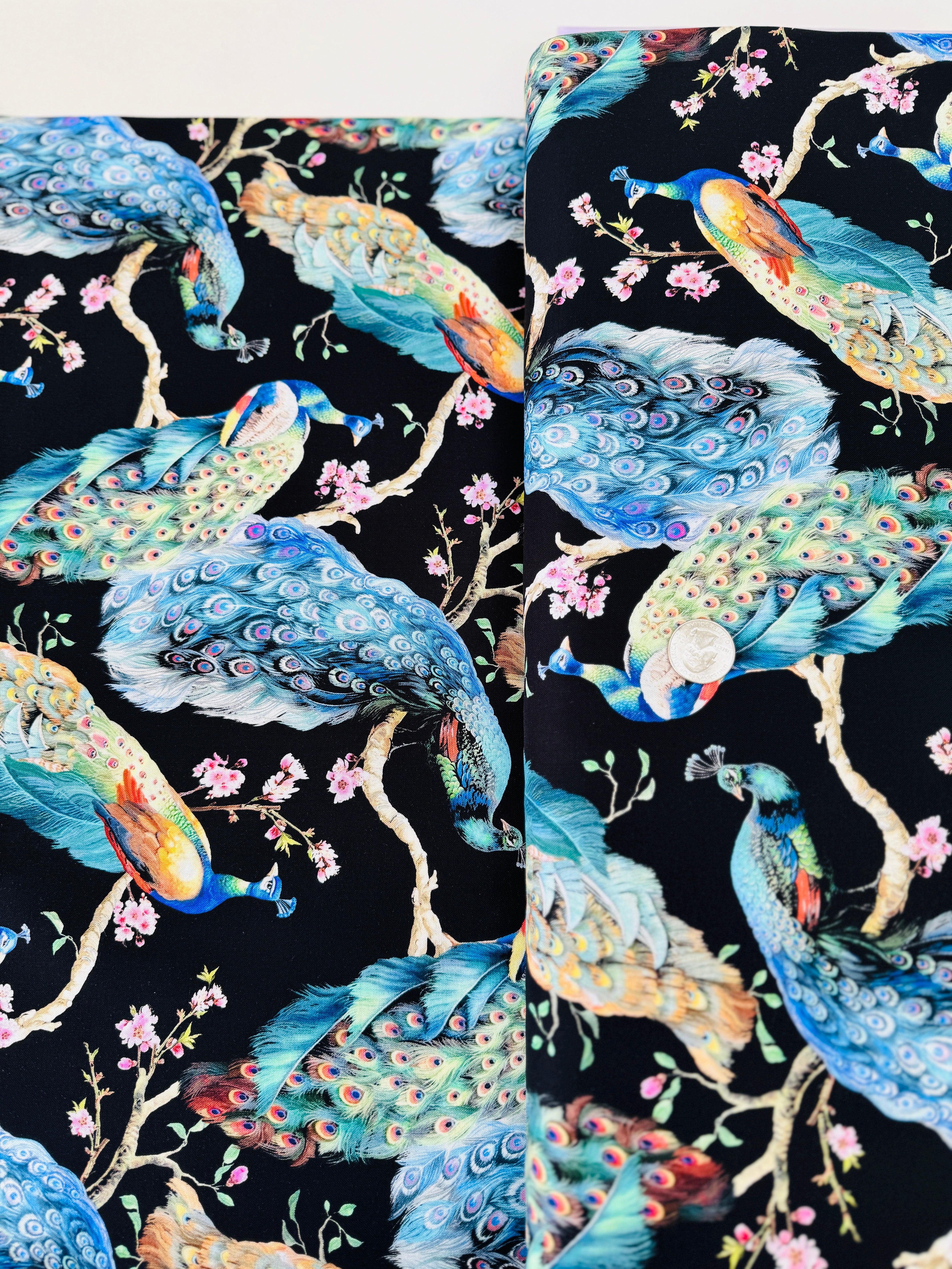 Flourish – Elegant Peacock on Branches on Black Fabric by Timeless Treasures – bold peacock print on black cotton.