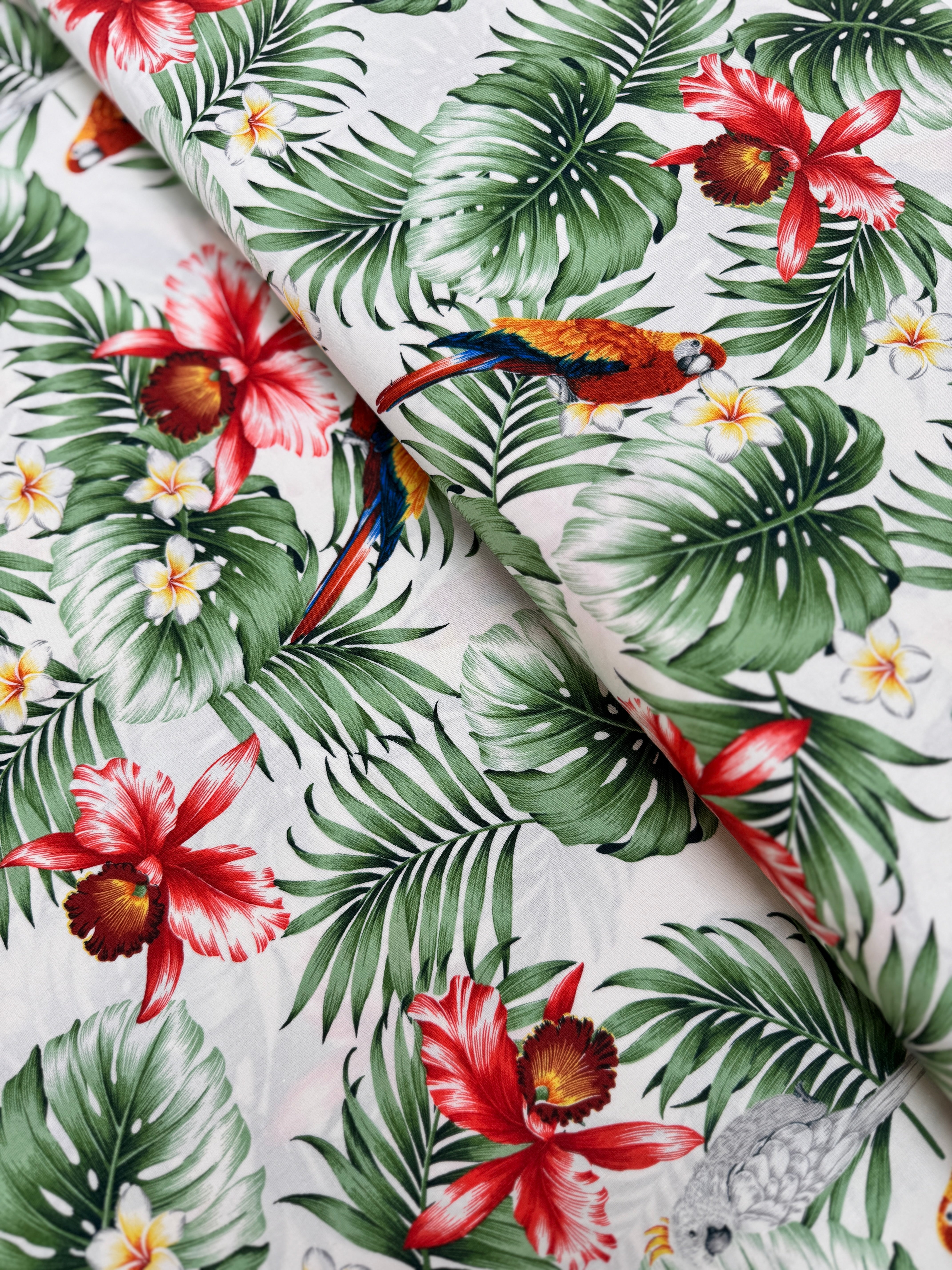 Island Paradise – Tropical Leaves and Birds on Ivory fabric by Sevenberry for Robert Kaufman – Cotton fabric with botanical leaves and colorful birds.