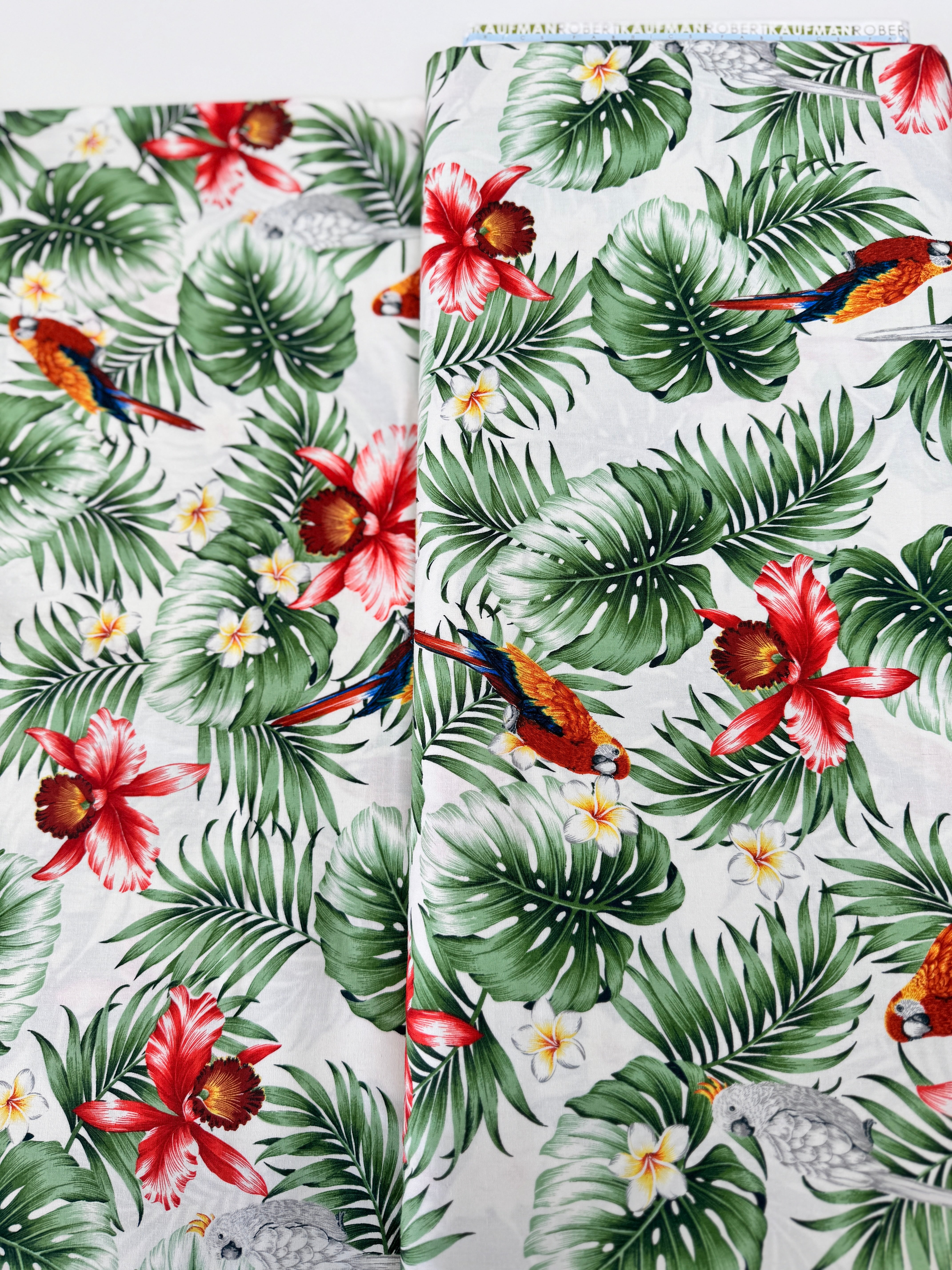 Island Paradise – Tropical Leaves and Birds on Ivory fabric by Sevenberry for Robert Kaufman – Cotton fabric with botanical leaves and colorful birds.