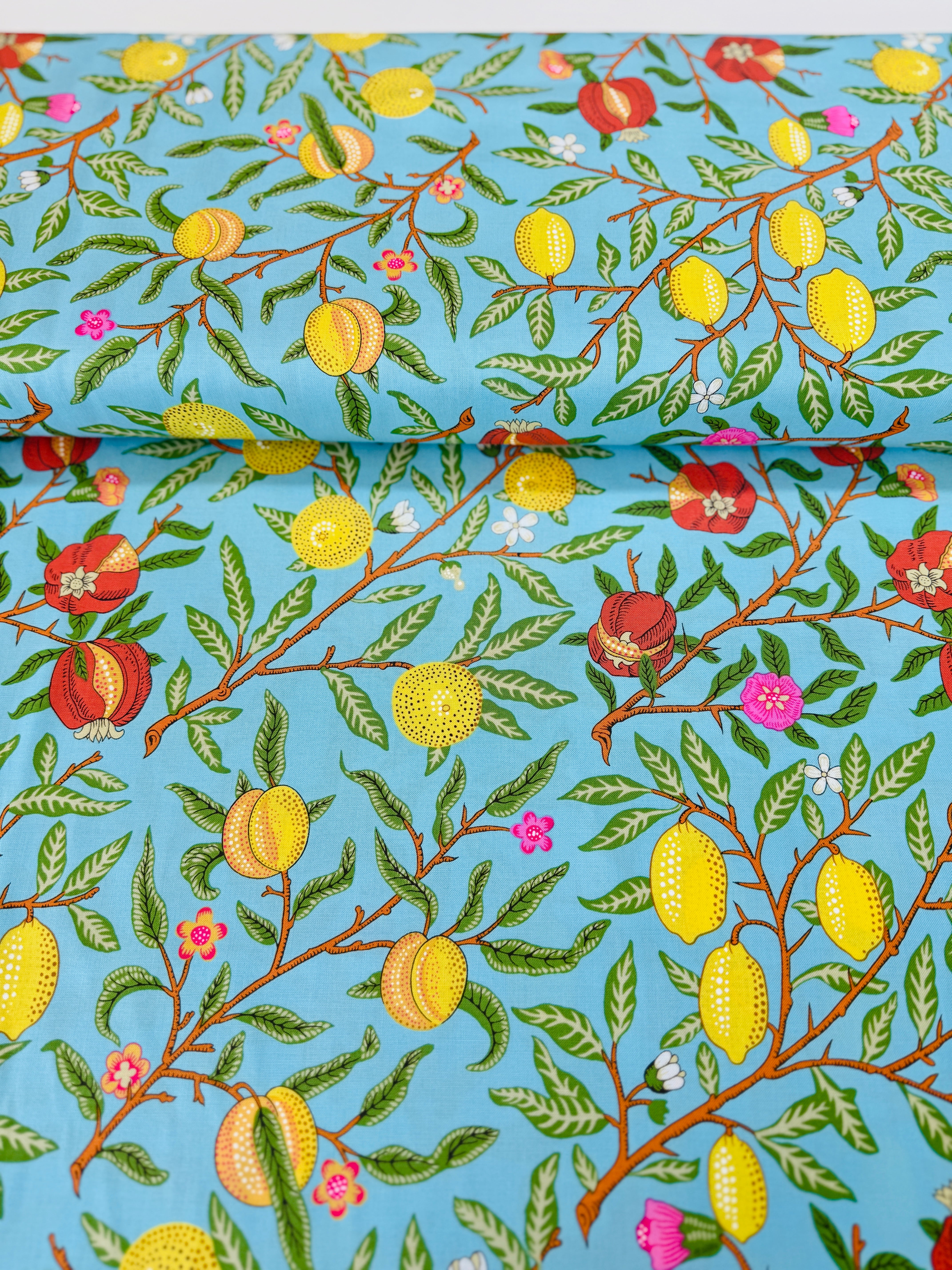 Fruit - Duck Egg Yardage