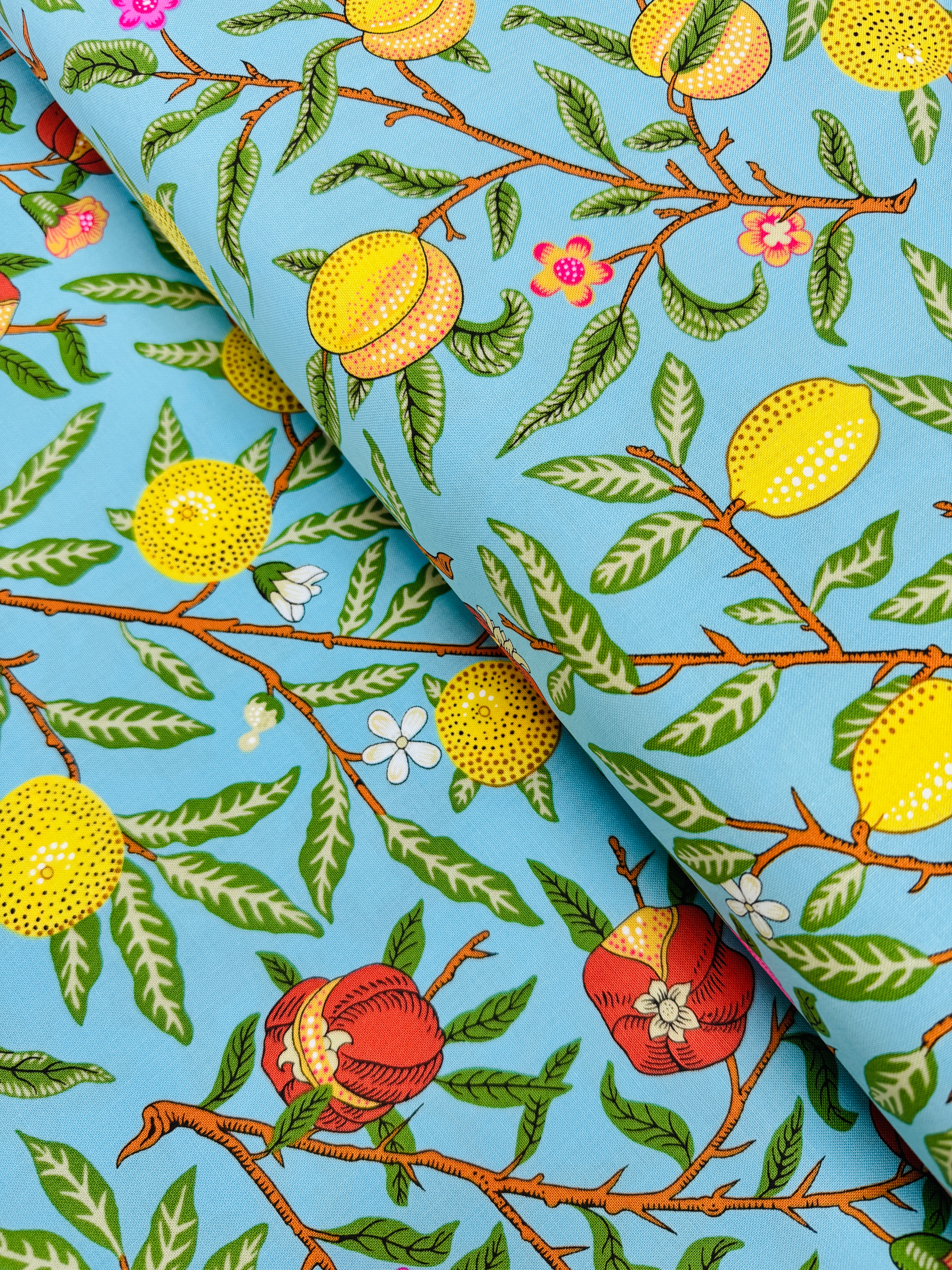 Fruit - Duck Egg Yardage