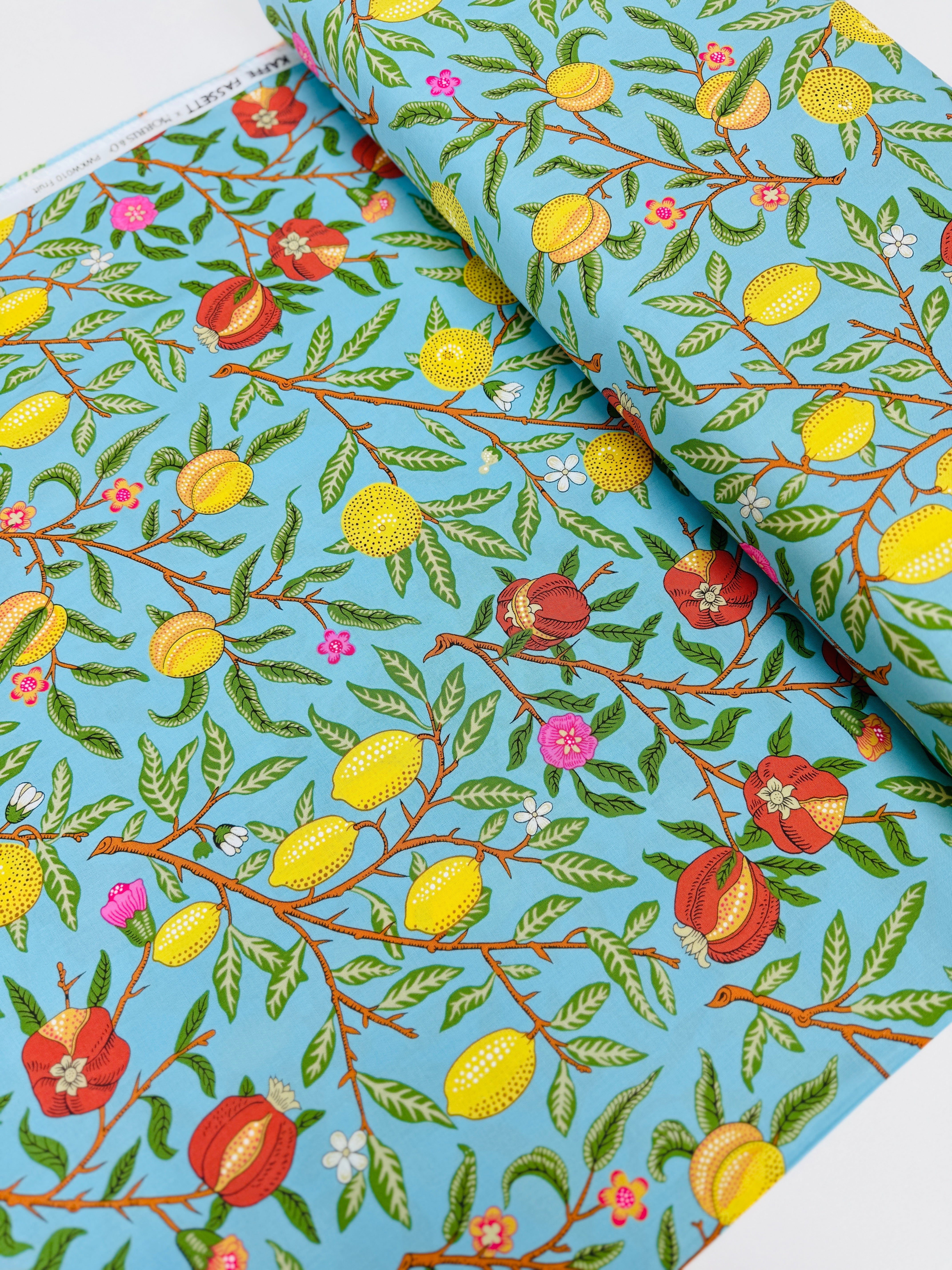 Fruit - Duck Egg Yardage