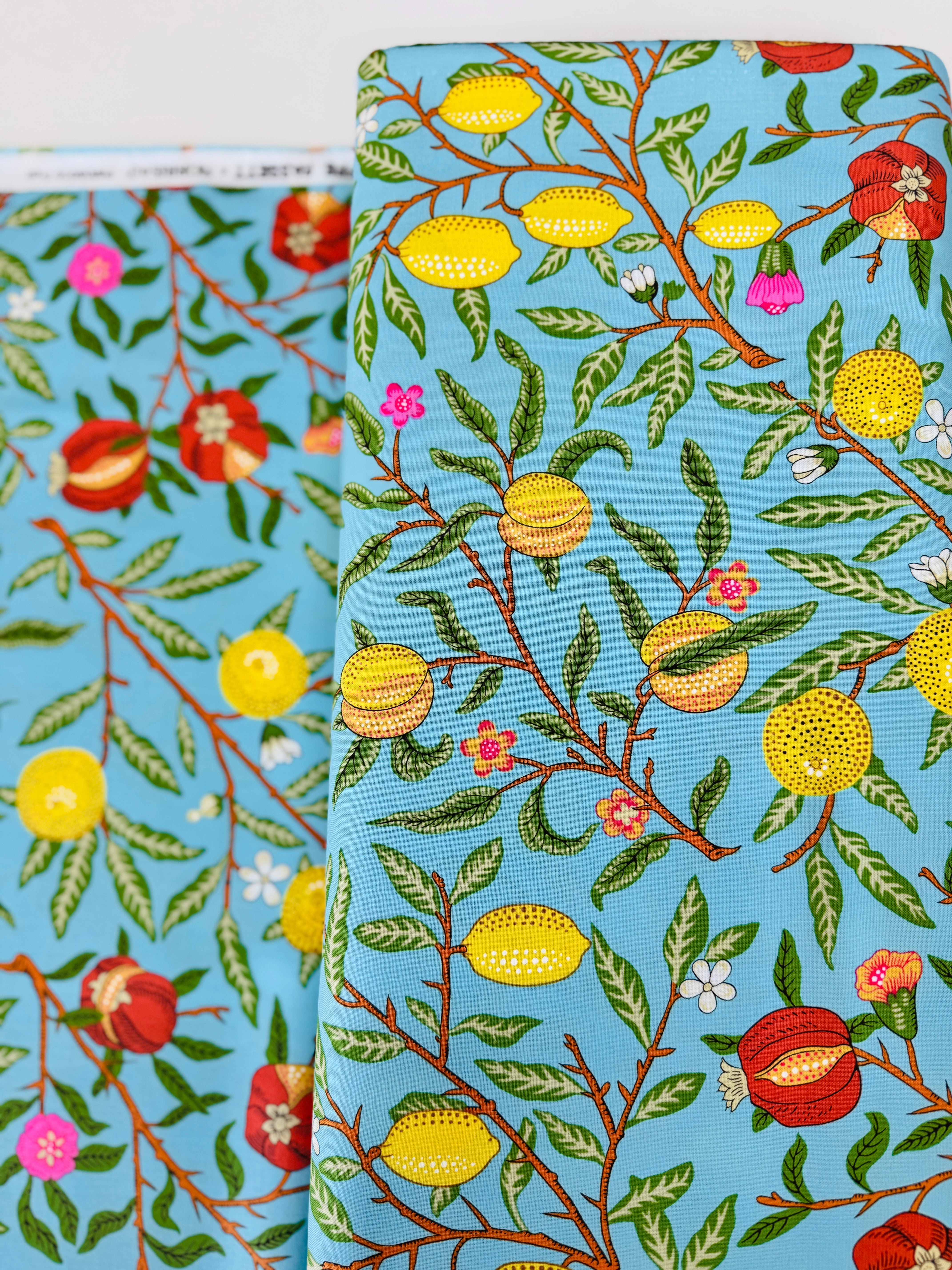 Fruit - Duck Egg Yardage