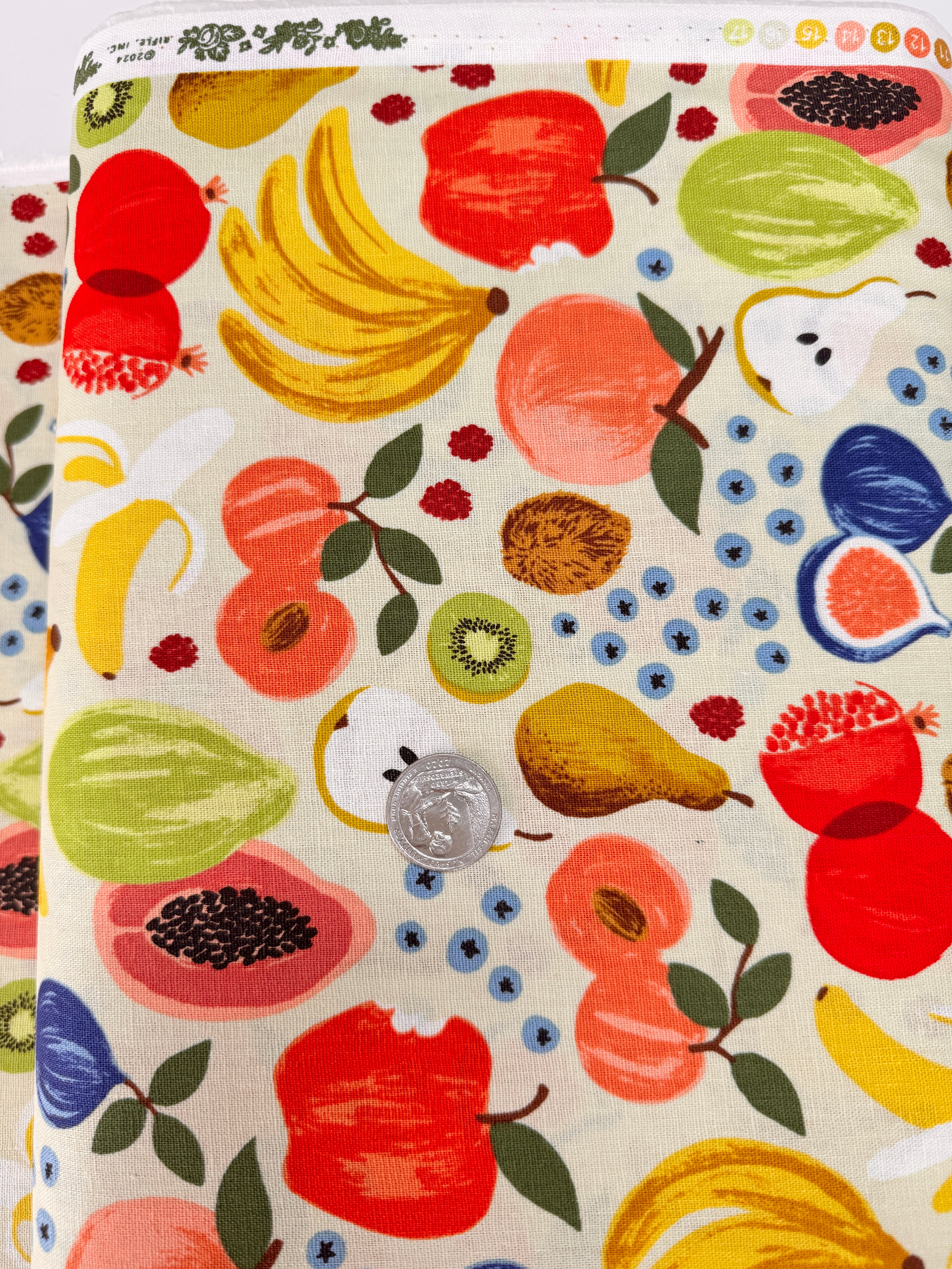 Fruit Stand Cream Canvas Fabric by Rifle Paper Co. – fruit-themed cotton canvas print from the Orchard collection for Cotton + Steel.