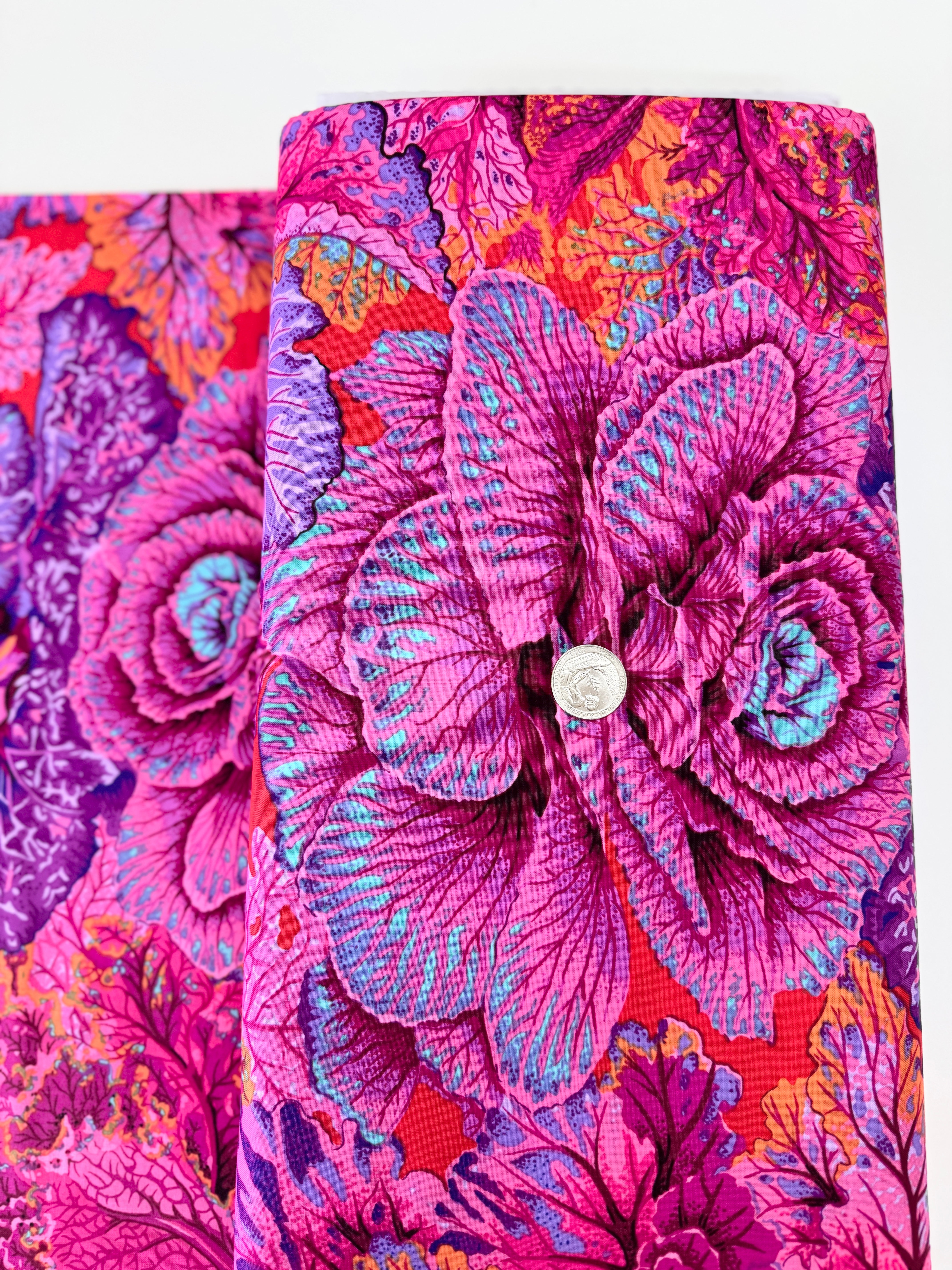 Kaffe Fassett Collective Stash - Curly Kale - Red Yardage