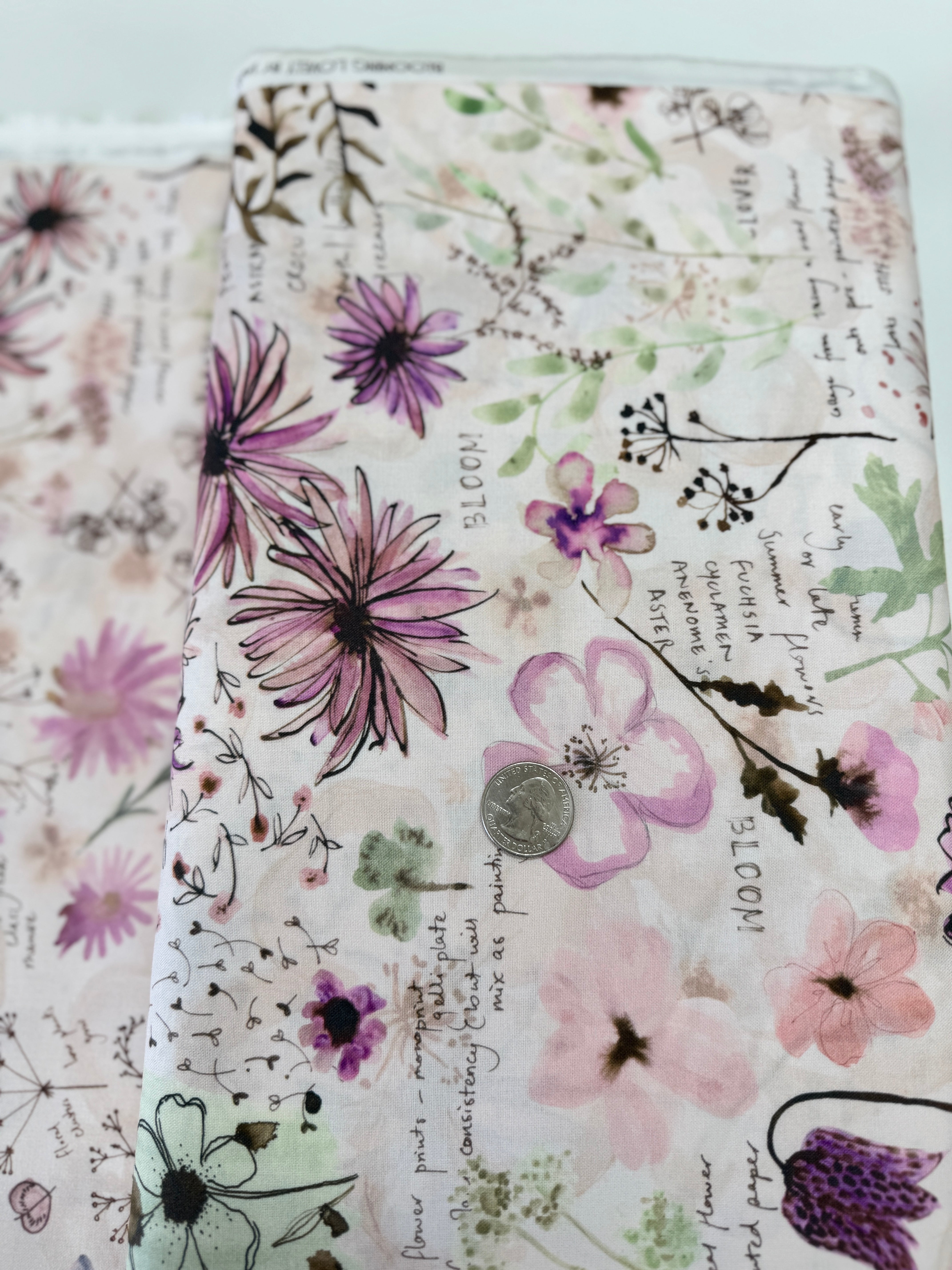Blooming Lovely – Petal Journal Collage fabric by Janet Clare for Moda Fabrics with layered script, florals, and blush tones.