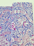 Indian Lavender Fabric by Kaffe Fassett & Morris & Co | Free Spirit Fabrics