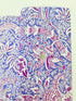 Indian Lavender Fabric by Kaffe Fassett & Morris & Co | Free Spirit Fabrics