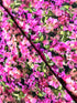 Mediterranean Escape – Bougainvillea floral fabric with purple digital print by Hoffman Fabrics
