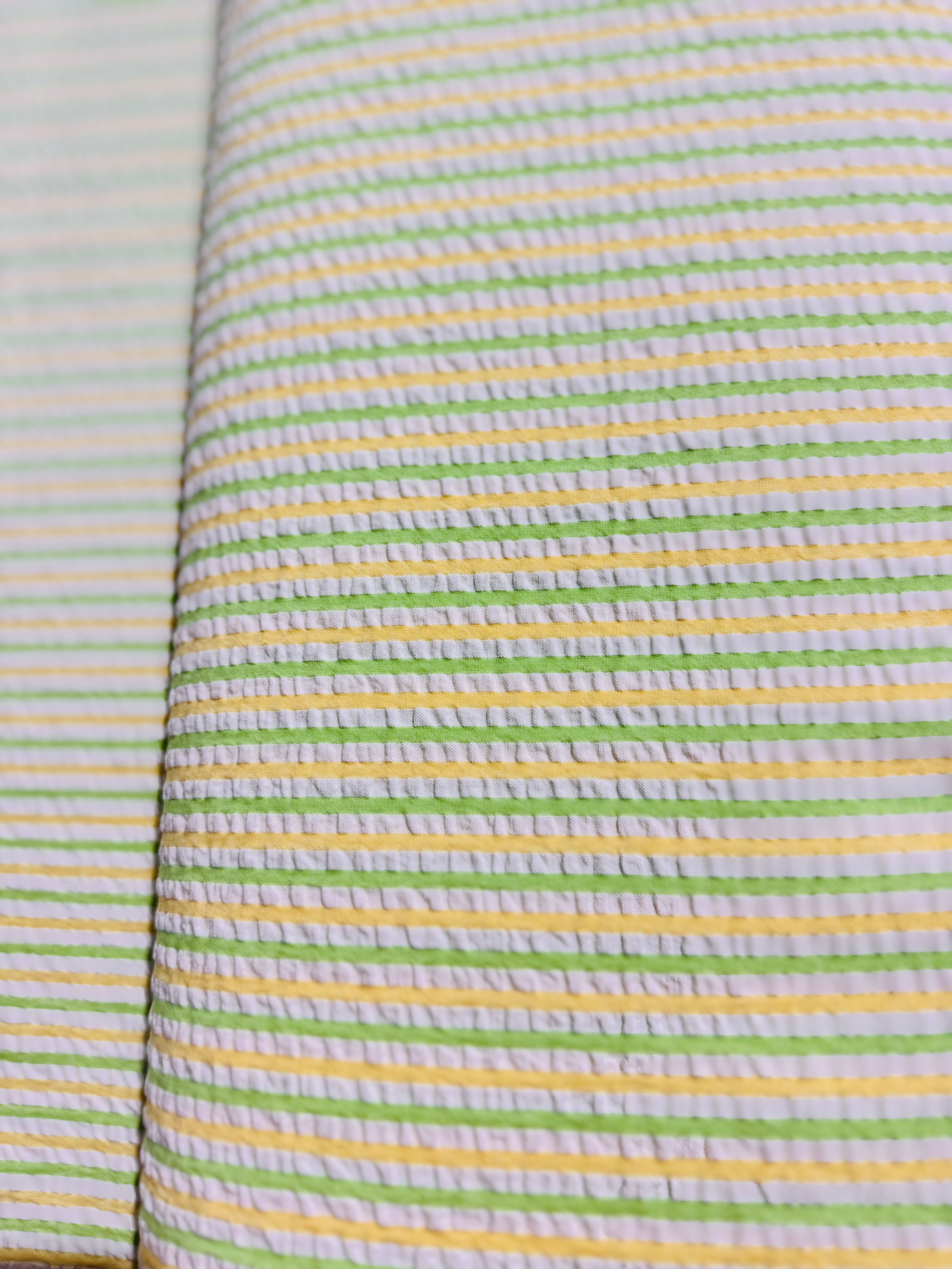 Seersucker Stripes Parakeet - Remnant