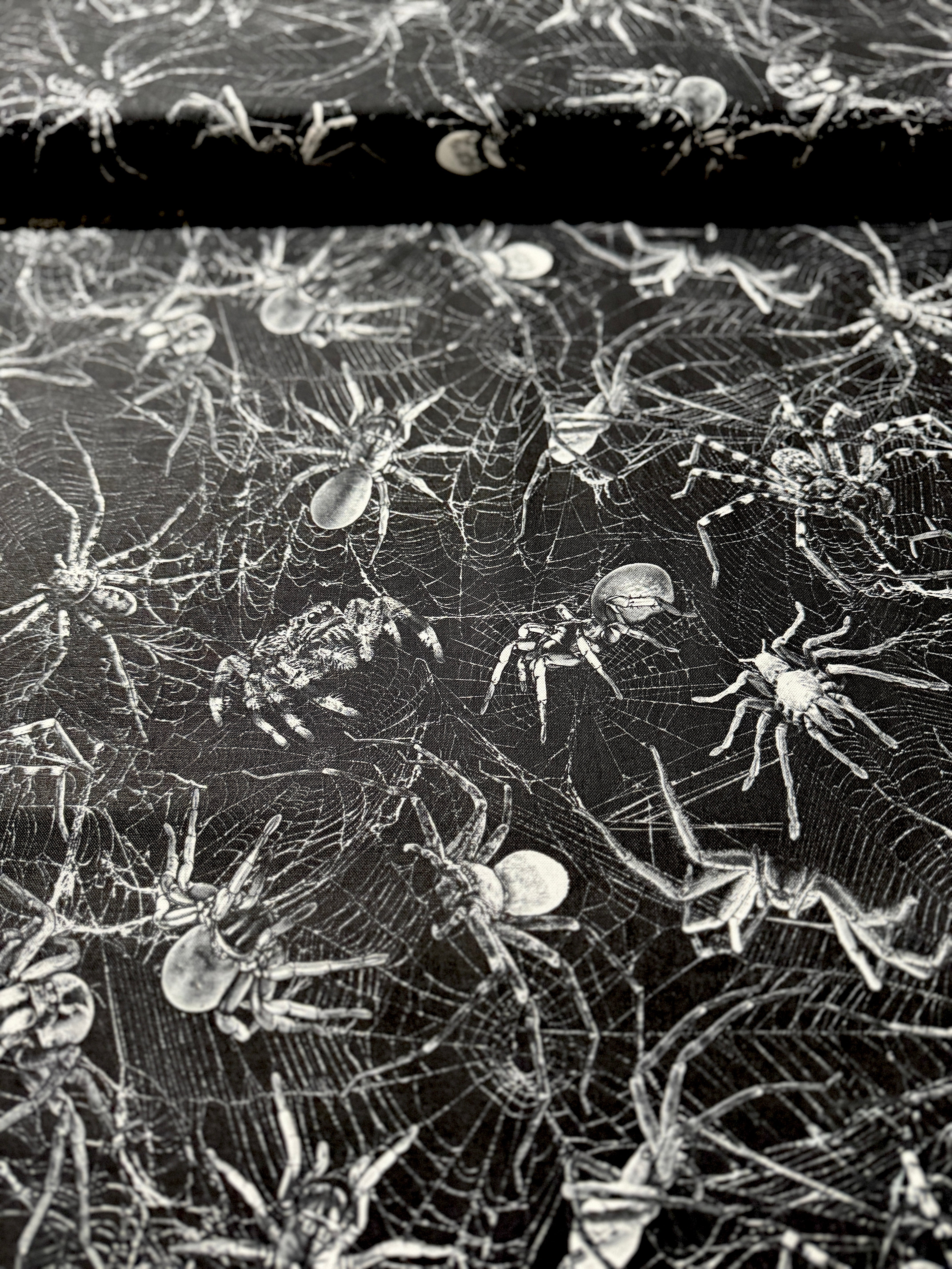 Wicked - Spiders On Webs Yardage