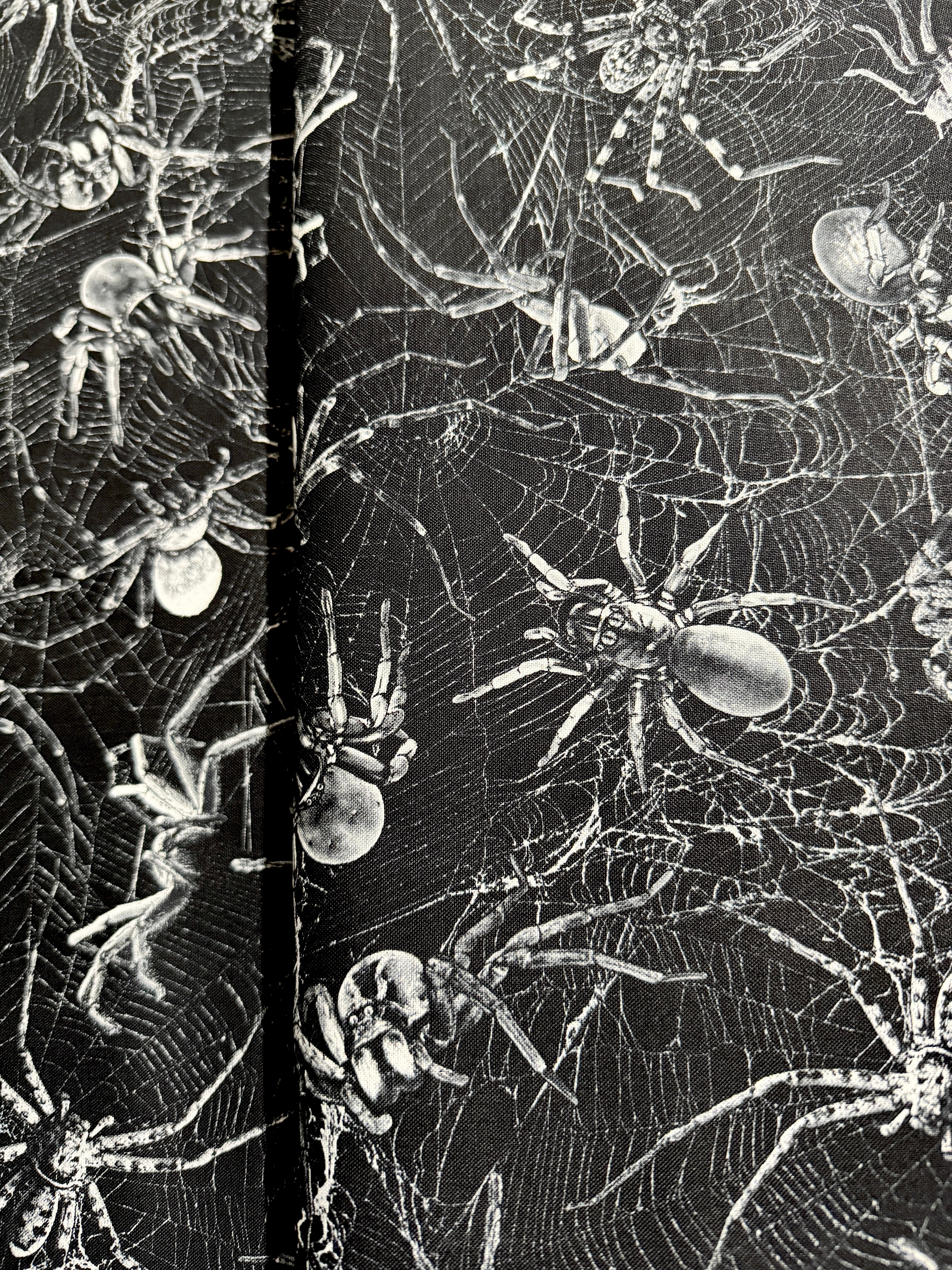 Wicked - Spiders On Webs Yardage