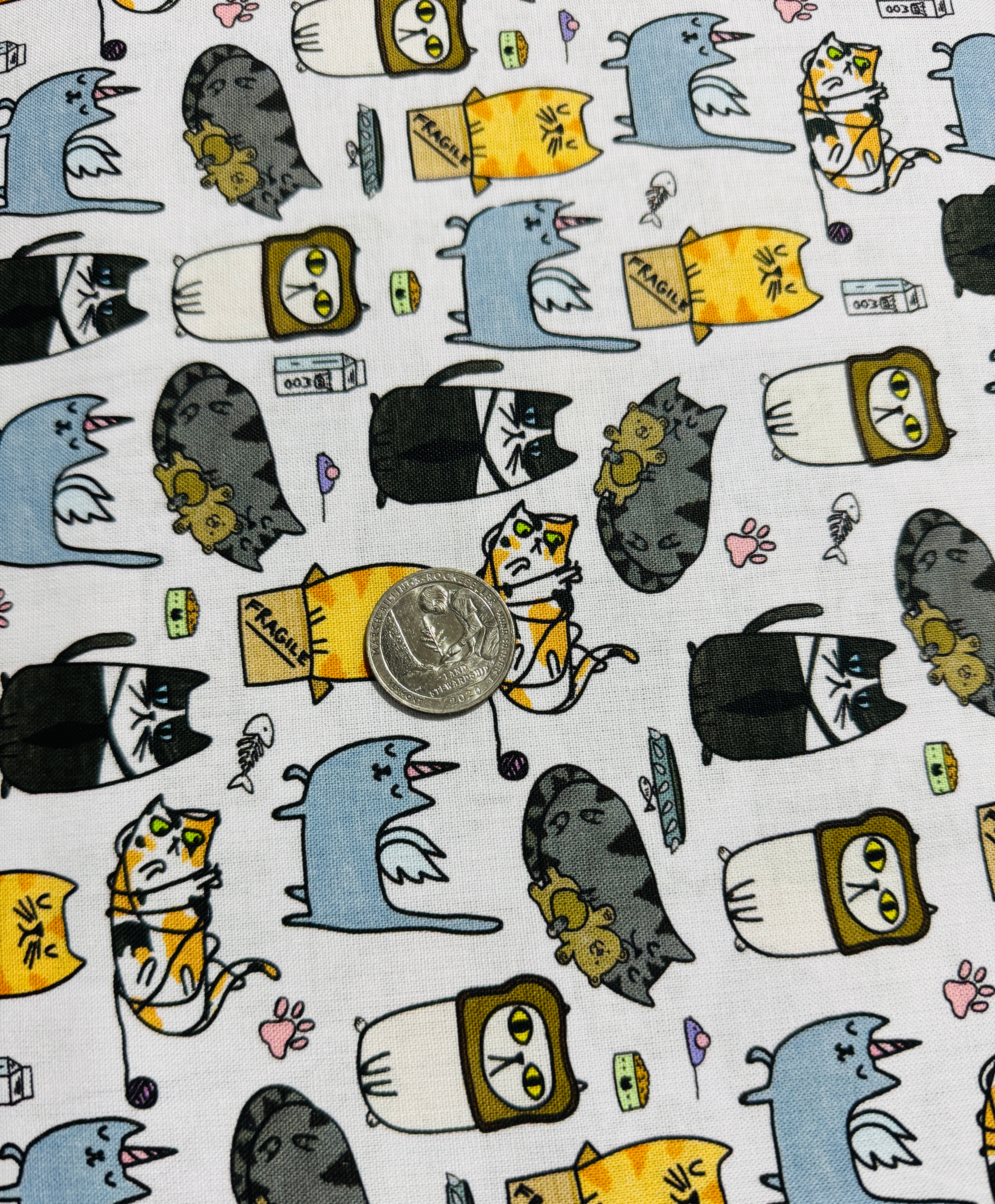 Quirky Cats - Silly Cats - Remnant