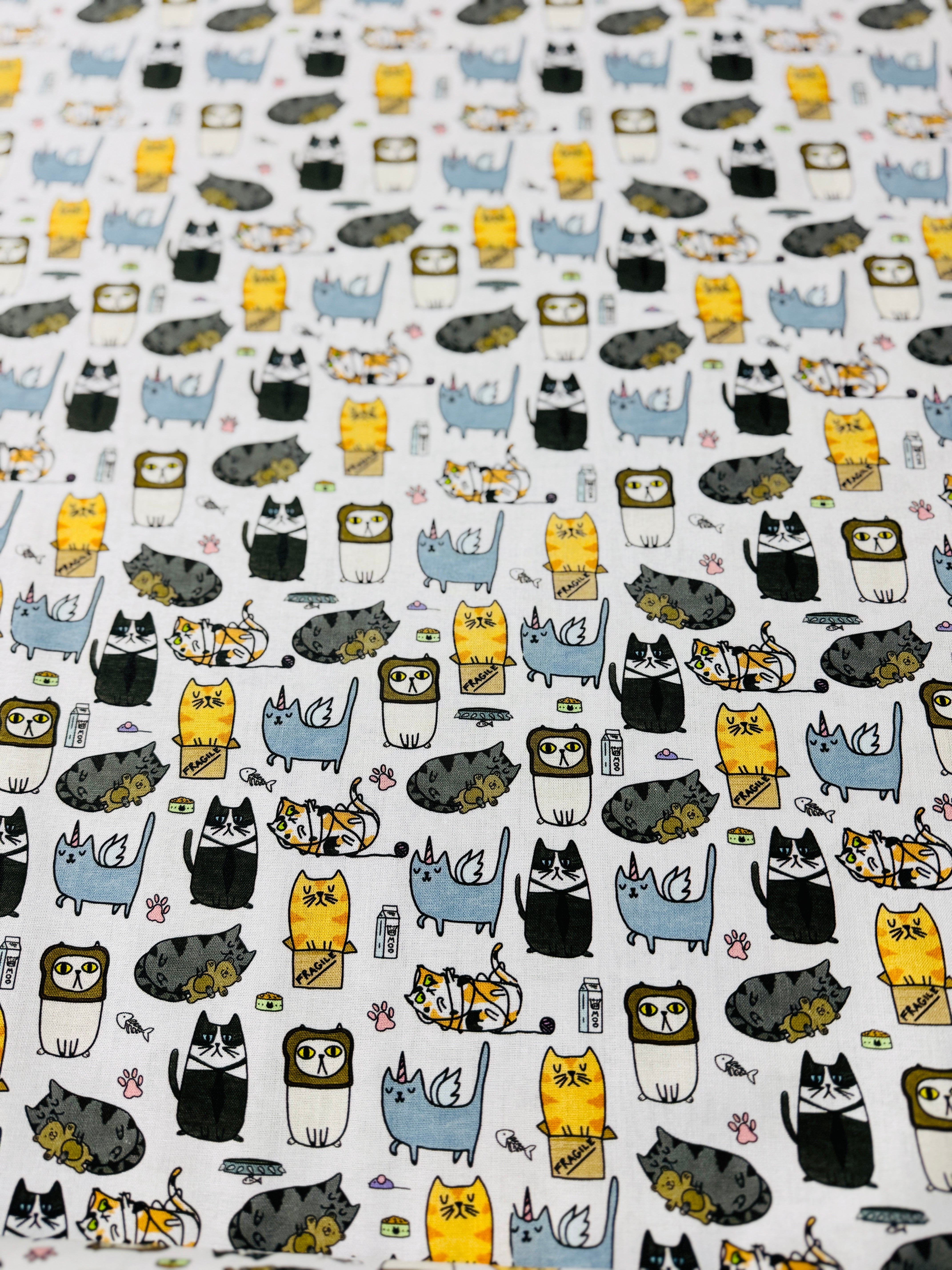 Quirky Cats - Silly Cats - Remnant