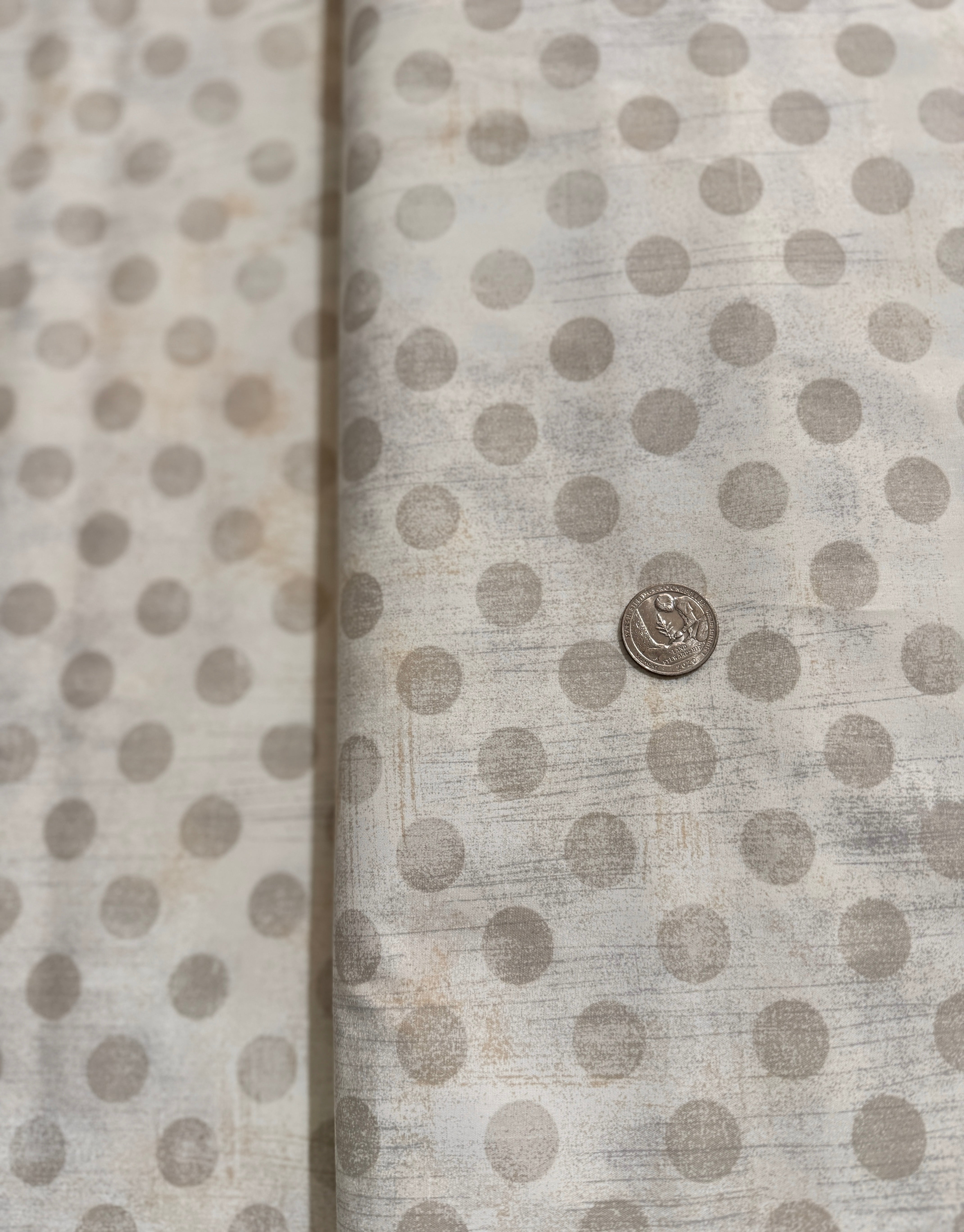 Grunge Hits The Spot - White Paper Quilt Back Yardage