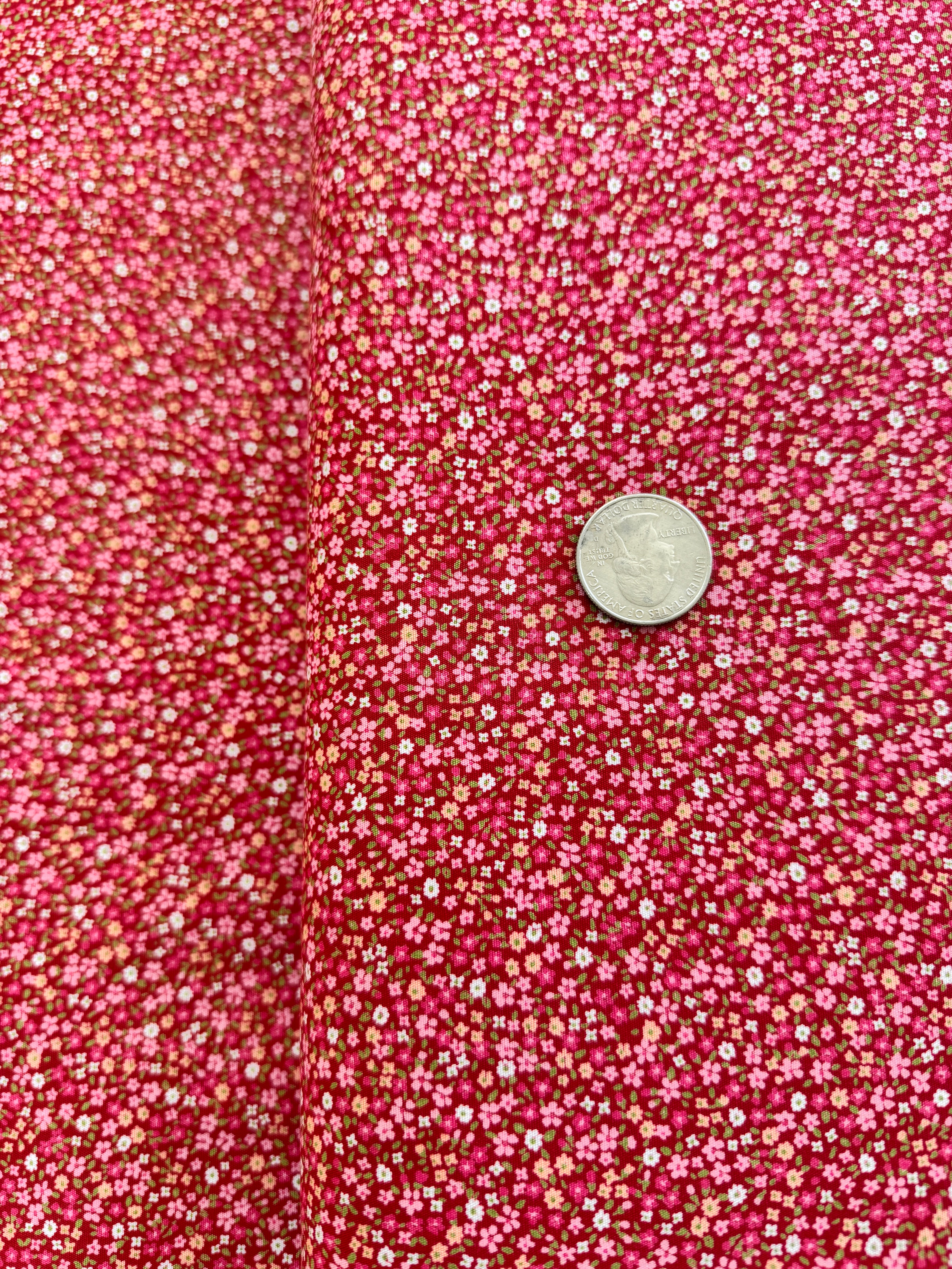 Sevenberry Petite Garden - Petite Florals Red - Remnant