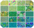 Kaffe Fassett Collective Classics Plus Tidal 5" Squares