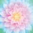 Dream Big - Flower Opal Panel