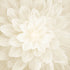 Dream Big - Flower Ivory Panel