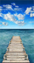 Scenic Sea Boardwalk Panel by Timeless Treasures