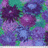 Kaffe Fassett Collective Classics - Japanese Chrysanthemum Purple Yardage