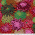 Kaffe Fassett Collective Classics - Japanese Chrysanthemum Scarlett Yardage