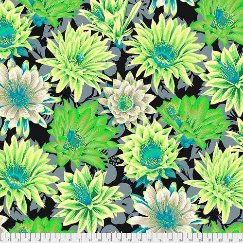 Kaffe Fassett Collective Classics - Cactus Flower Contrast Yardage