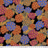 Kaffe Fassett Alpines Dark fabric with colorful alpine floral clusters on a black background