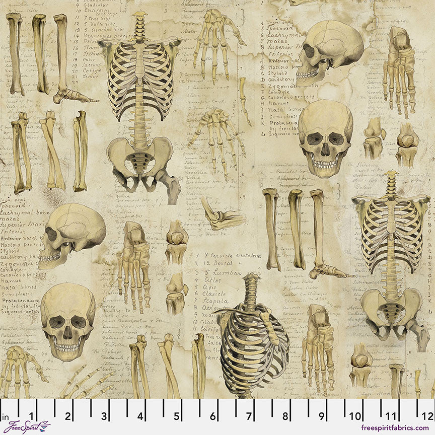 Eclectic Elements - Anatomy Neutral Yardage