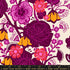 Hello Alice Damask Shell cotton fabric featuring magenta florals and Alice silhouettes on shell background.